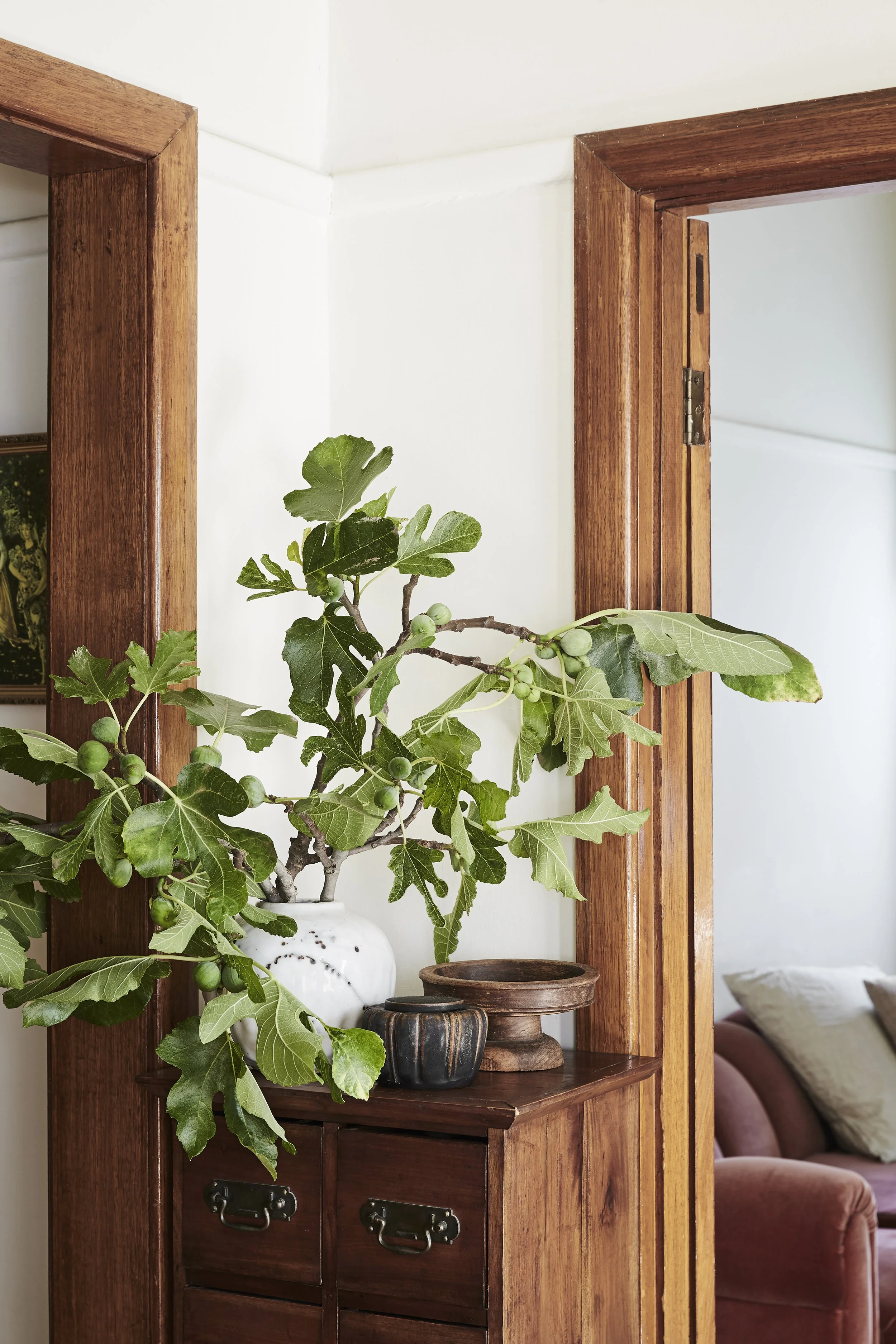Julia Busuttil Nishimura home tour detail of foliage in hallway