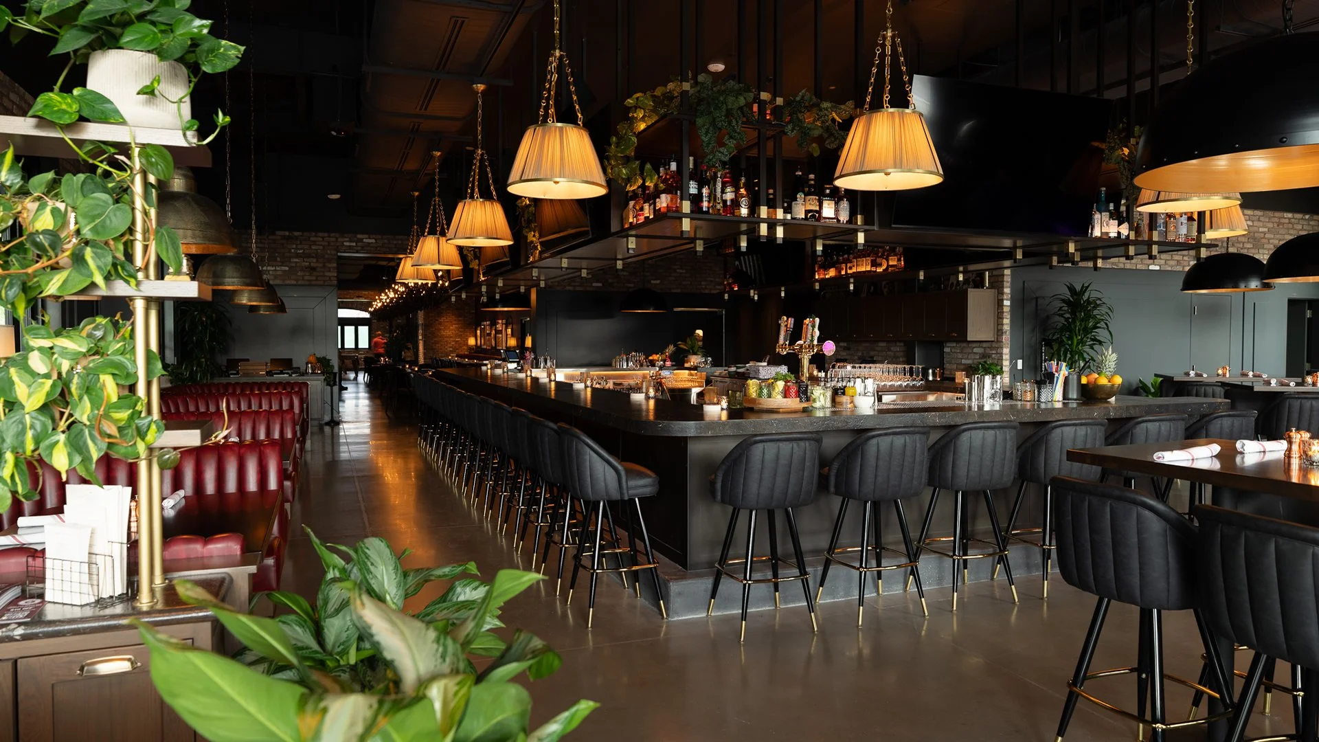 Culinary Dropout - Salt Lake City 