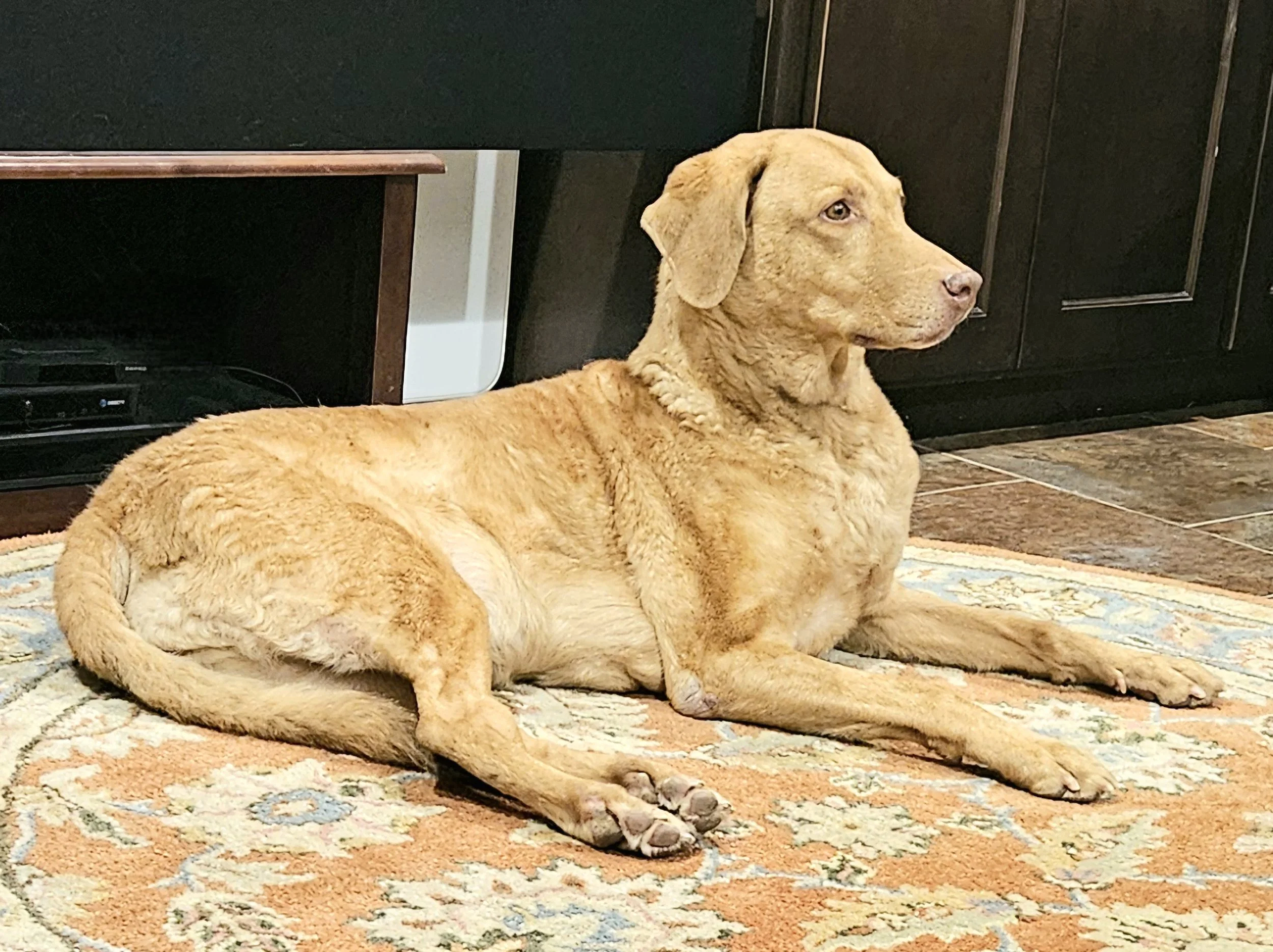 ROSIE
