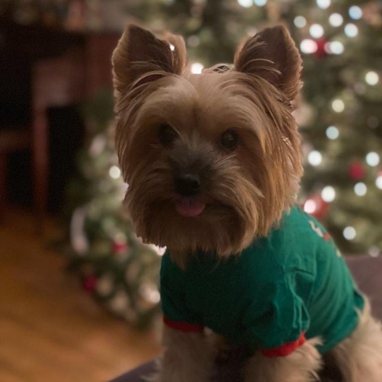 OLIVER