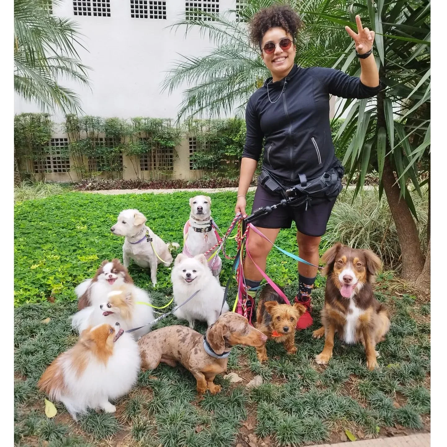 Segunda com a matilha #KMDog 🥰
Paco, Amora, Dom, Pipo, Marola, Bella, Lion, Casie e Fil&oacute; 🐕🐕🐕🐕🐕🐾🐾🐾🐾❤️ turma linda mais 🥰

#adestramento #sptizalemao #daschund #viralata #srd #caminhadaestruturada