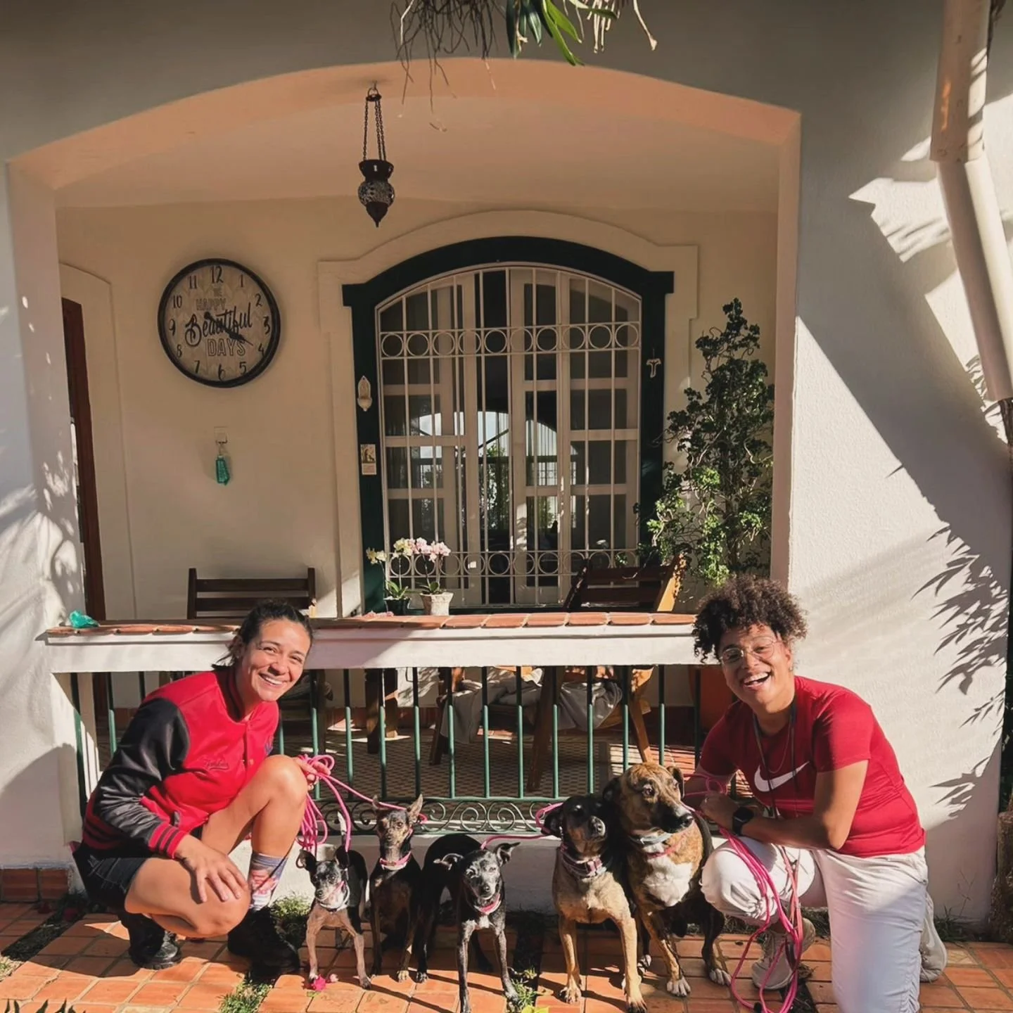 Conhe&ccedil;am a GRANDE FAM&Iacute;LIA 😍👏🏻👏🏻👏🏻👏🏻

Agnes, Moana, Boo, Cora Coralina e Phoebe ❤️

Nossas alunas de Mentoria personalizada 😎👏🏻👏🏻👏🏻
Vamos ajustar a rotina das bonitas, latidos excessivos, inseguran&ccedil;a, e principalme