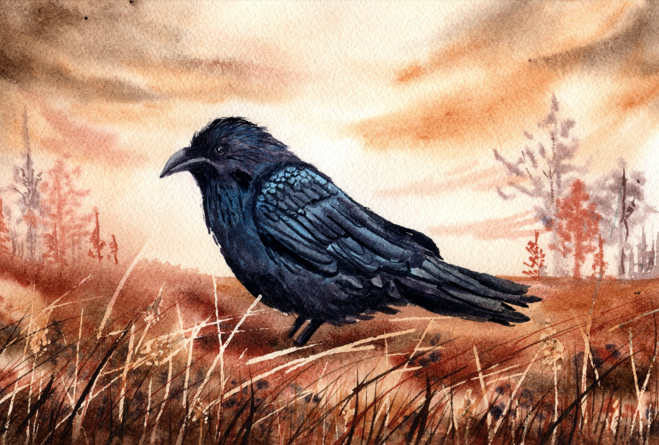 Autumn Blackbird Giclee Print