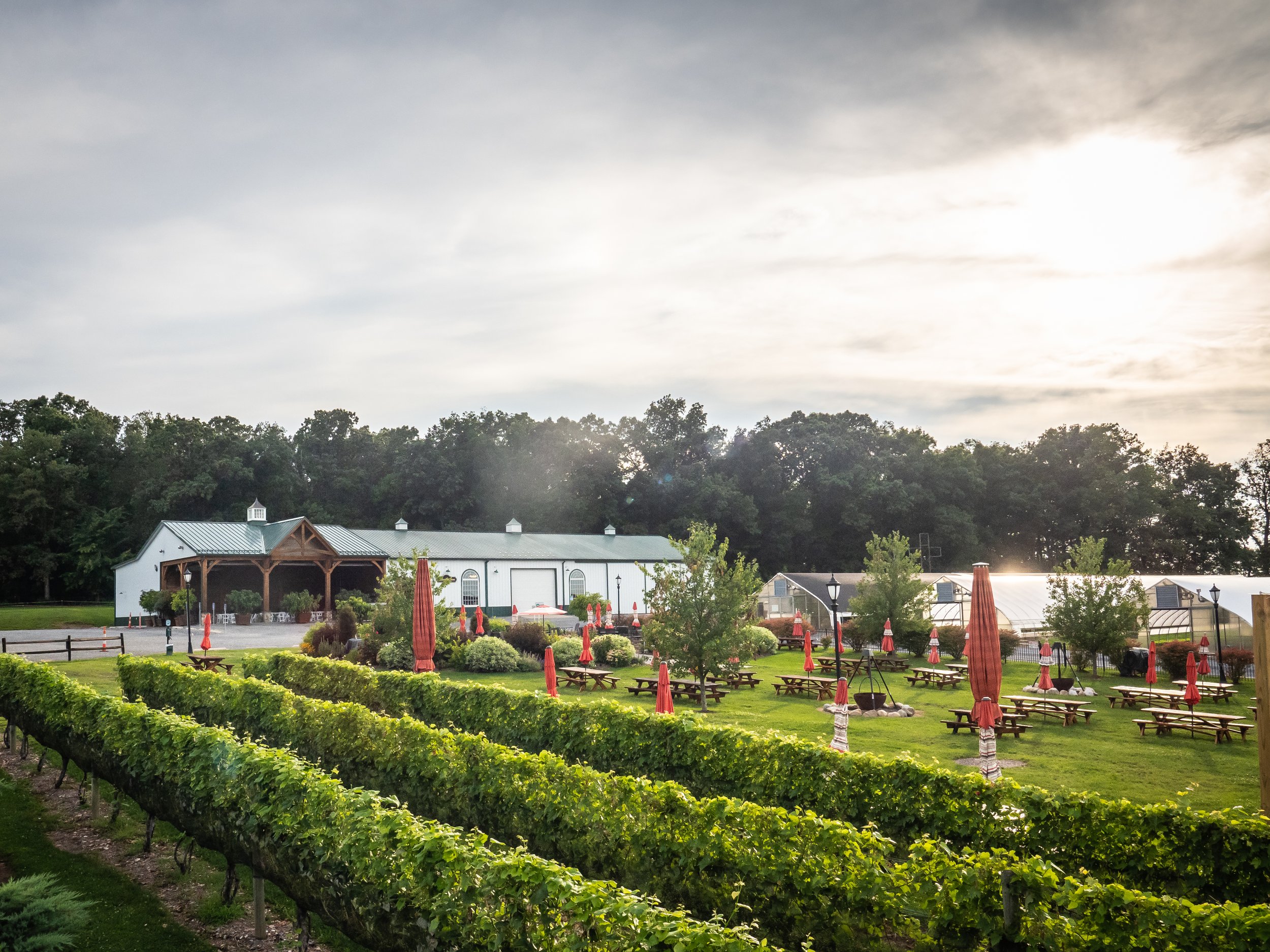 Our Farm | Beneduce Vineyards