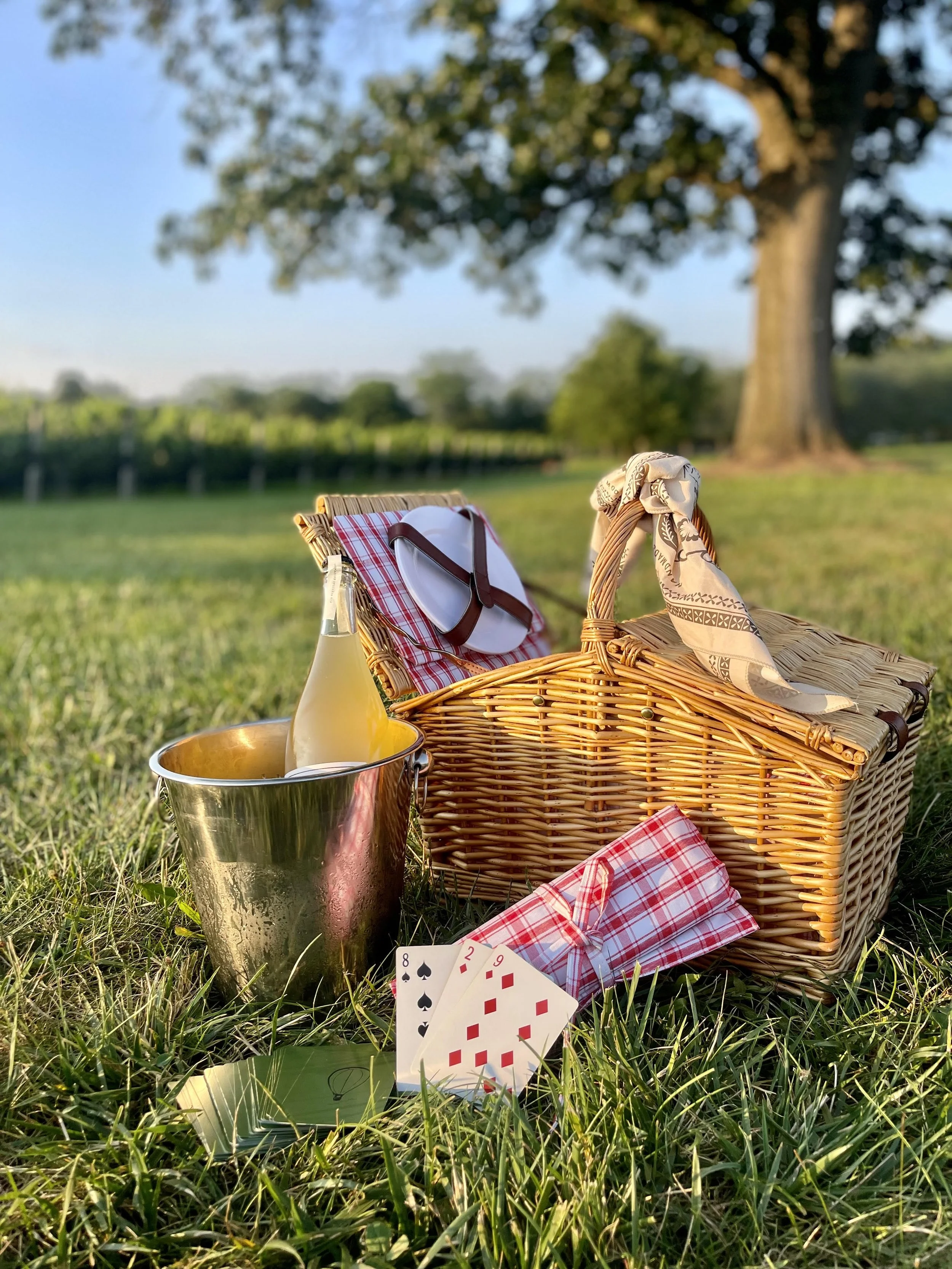 SUNSET PICNIC IN THE VINEYARD | August 29th