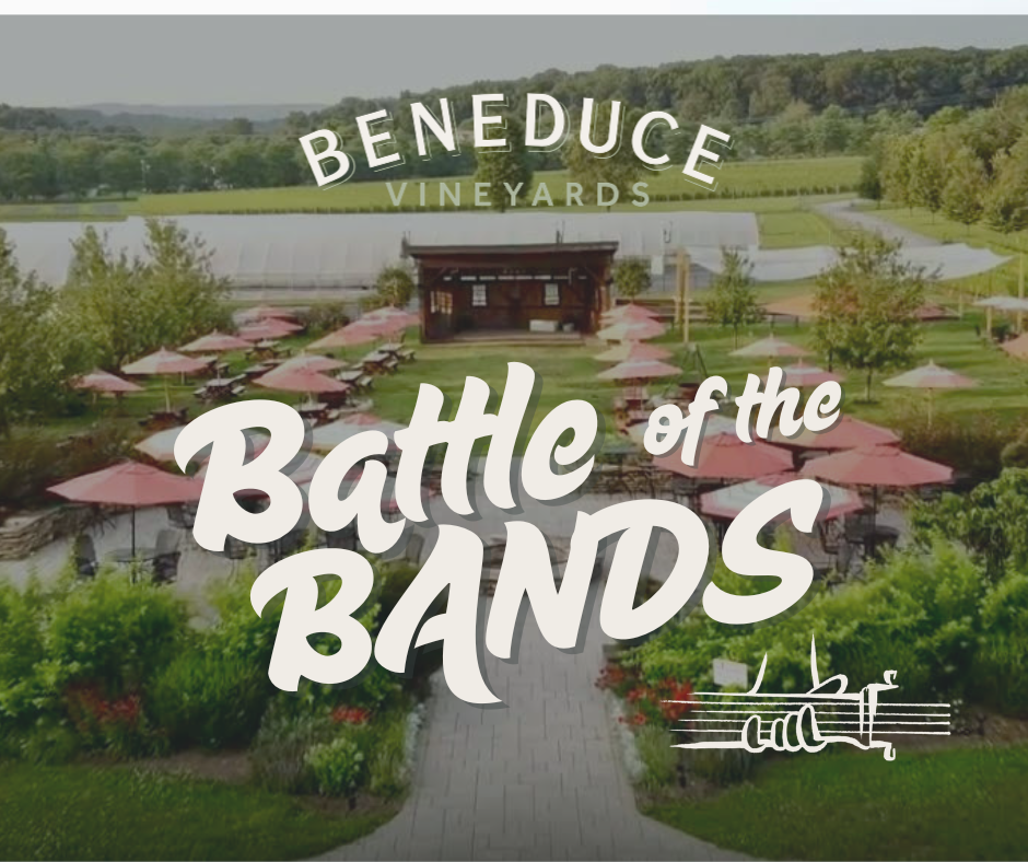 Sunday Picnic | June 7th 