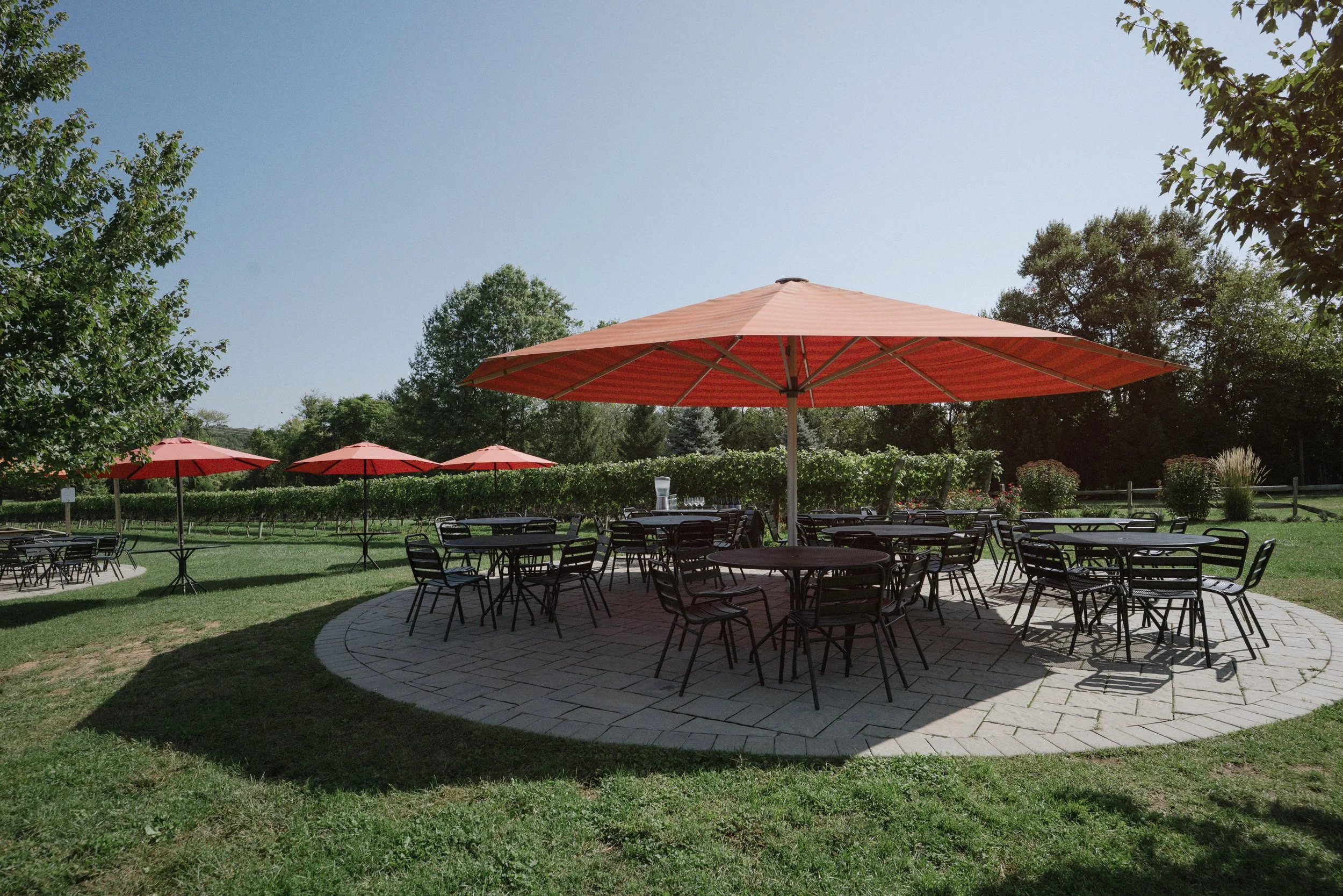 Sunday Picnic | June 21st