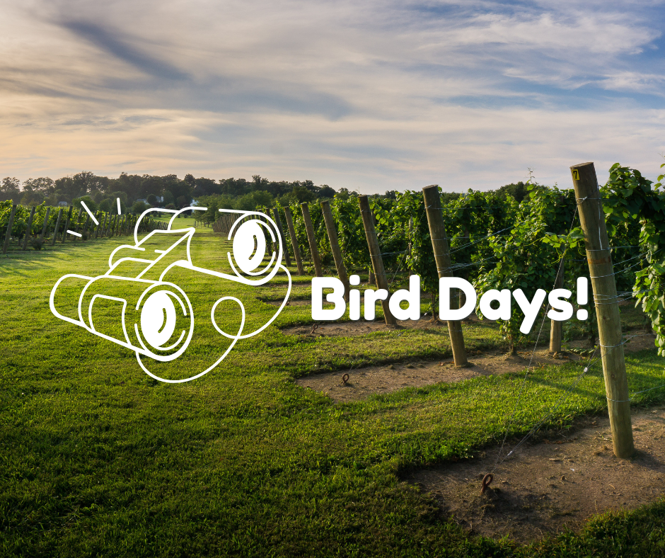 Bird Days! Bird Watching Vineyard Tour | July 3rd