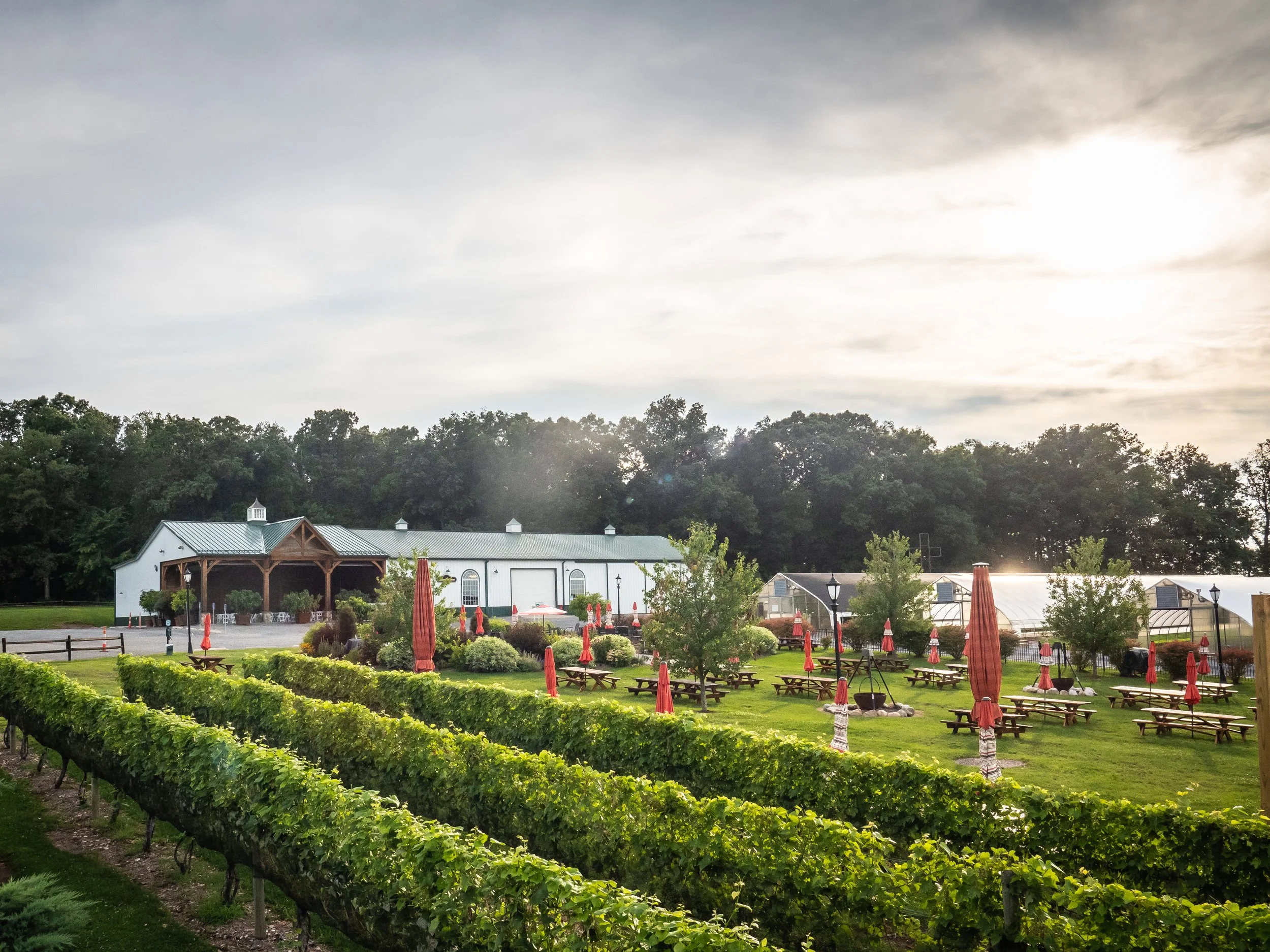Yoga in the Vineyard | July 24th