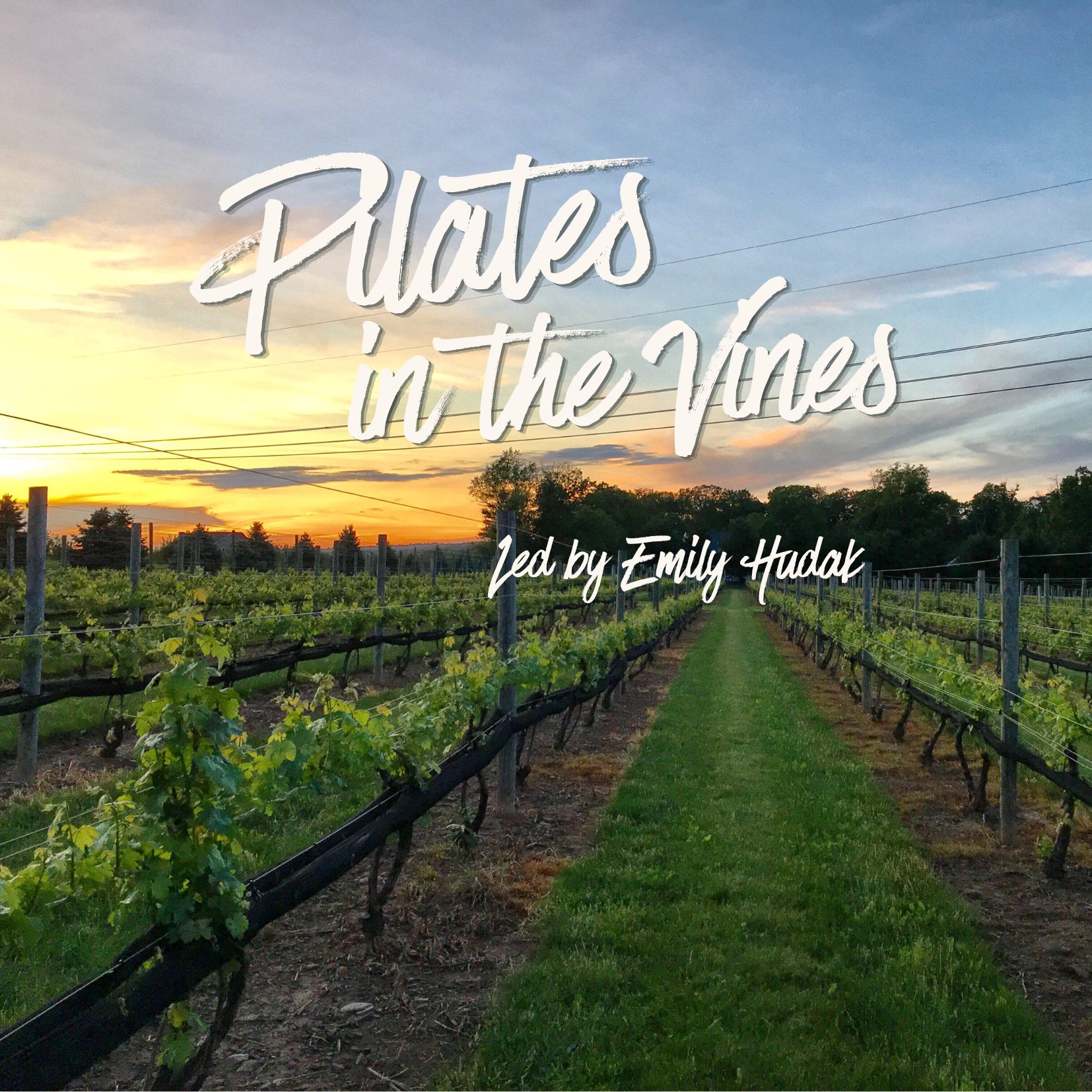 Pilates Among the Vines: A Vineyard Experience