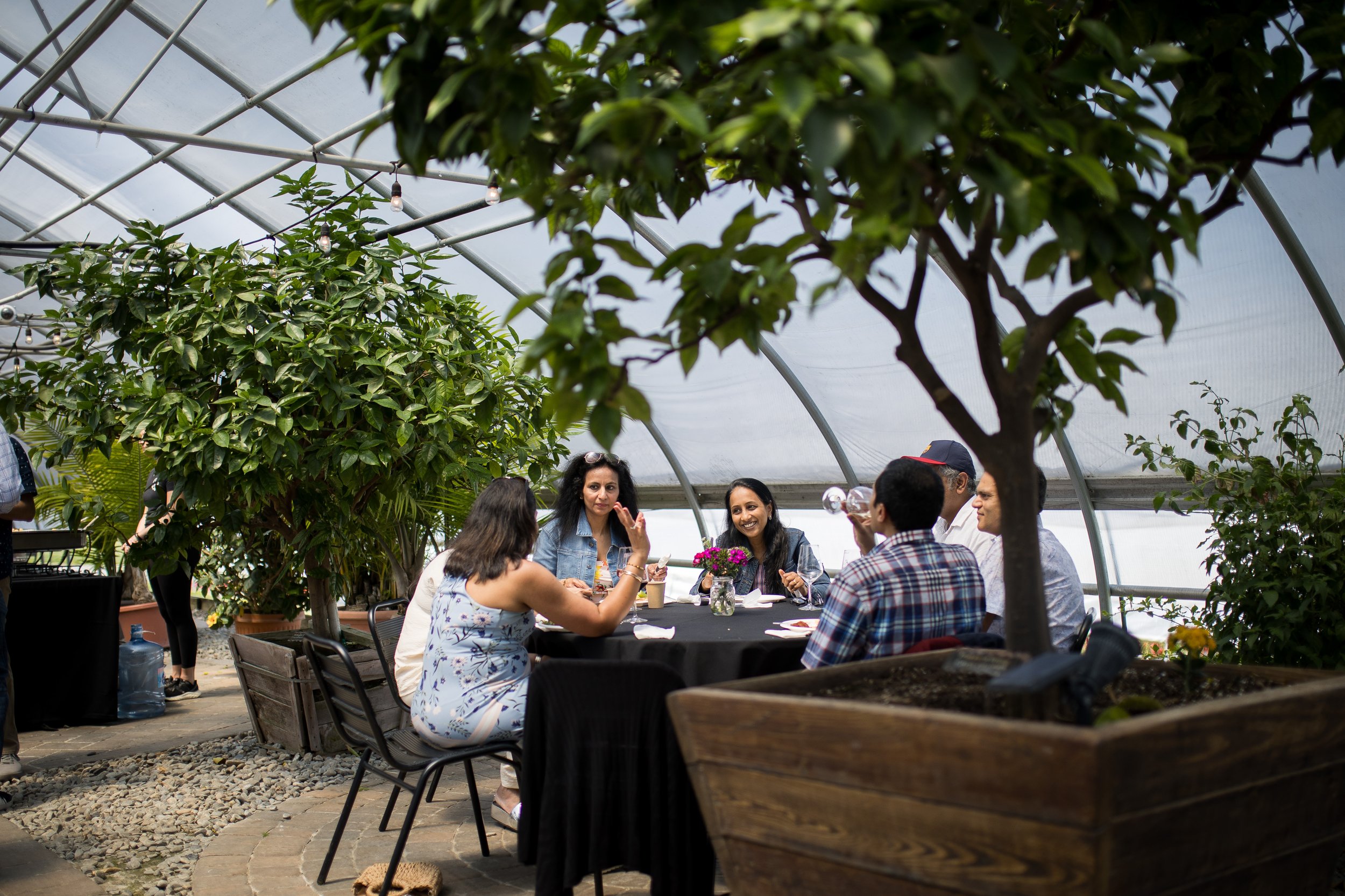 Enjoy a glass & good company surrounded by tropical plants