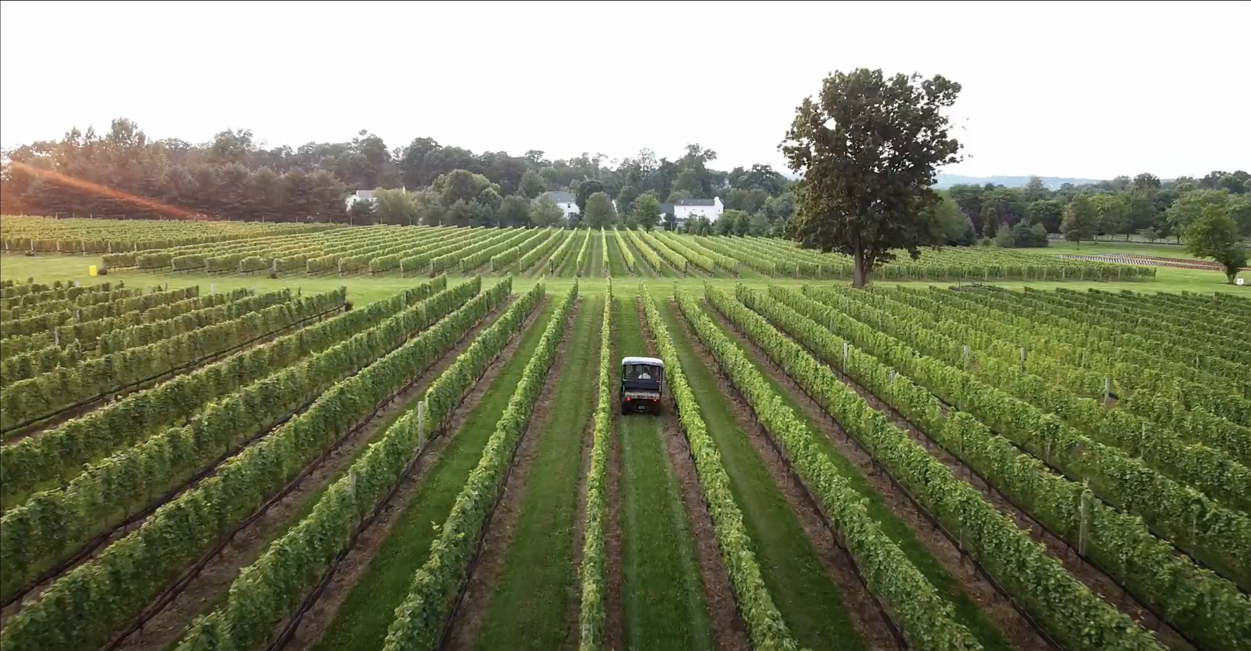 Screenshot 2023-04-27 at 12.59.27 PM.png