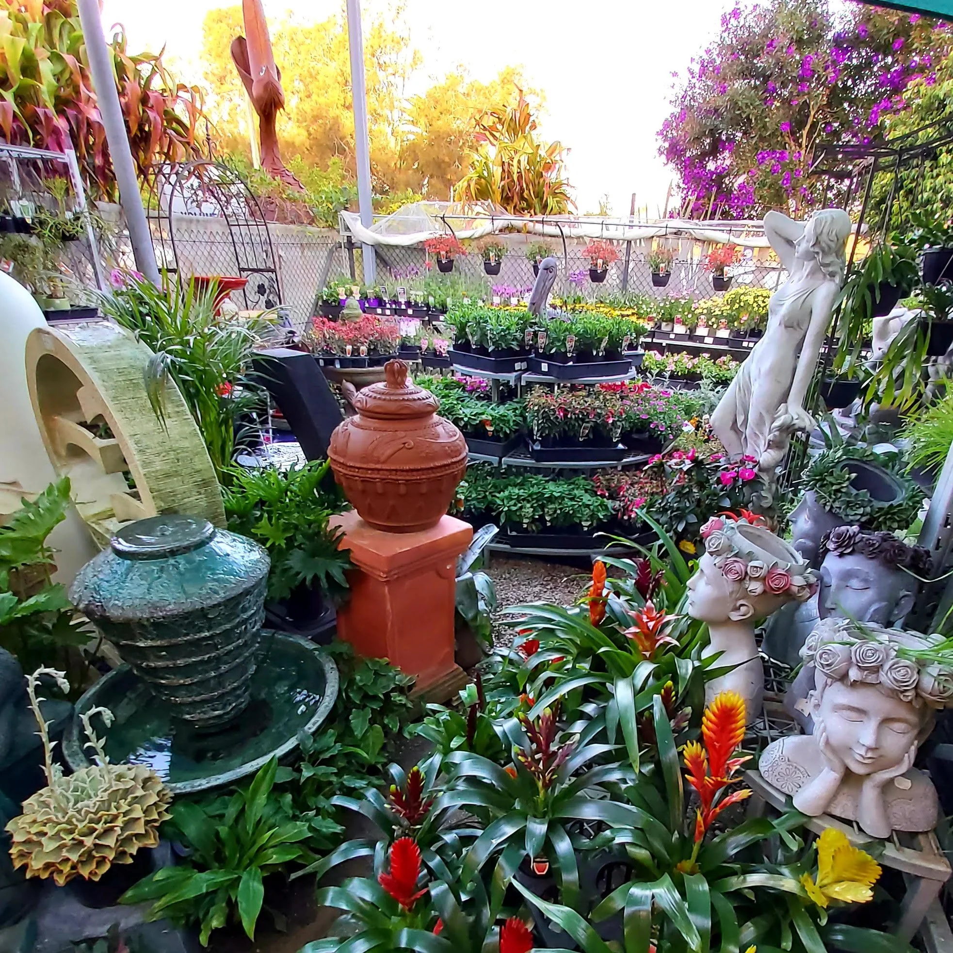 20230825_200942.jpg