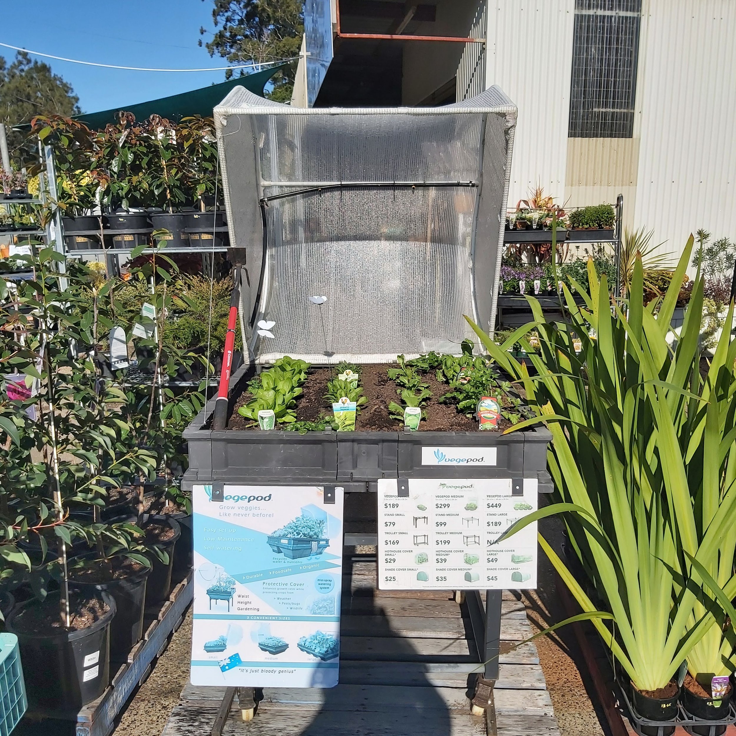VEGEPOD
Raised garden bed kits that are self-watering with a wicking bed design, elevated and portable with a greenhouse cover, it's chemical free, easy gardening.