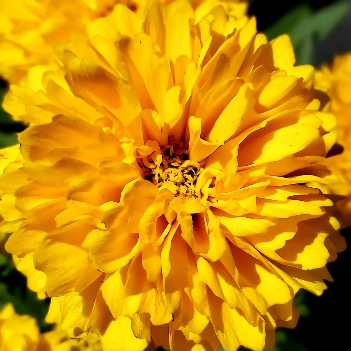 20220220_114138.jpg