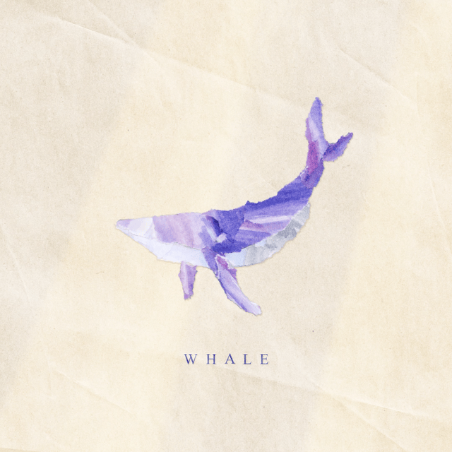 whale.gif