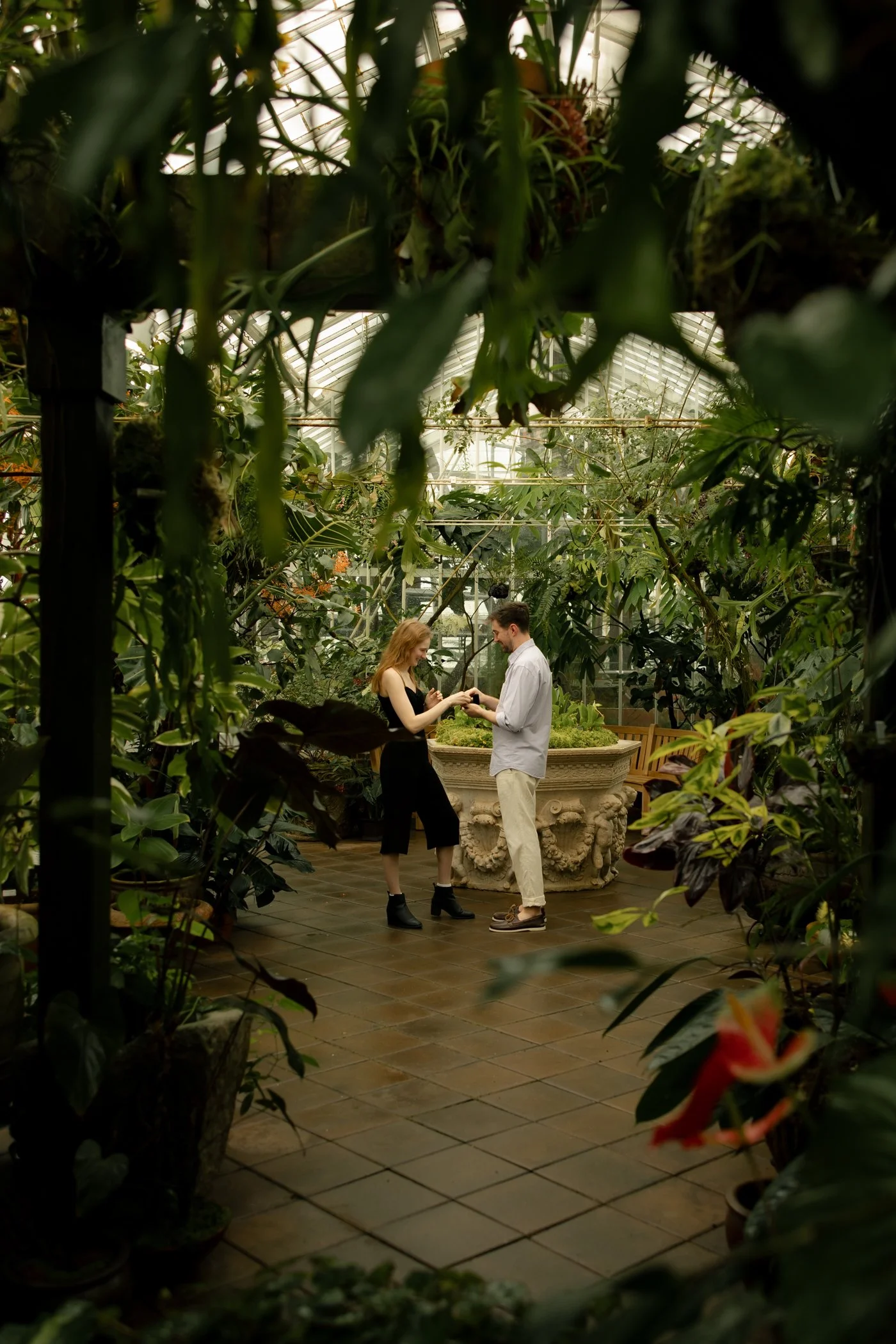 San Francisco Conservatory of Flowers proposal photographer Livermore California couples photographer