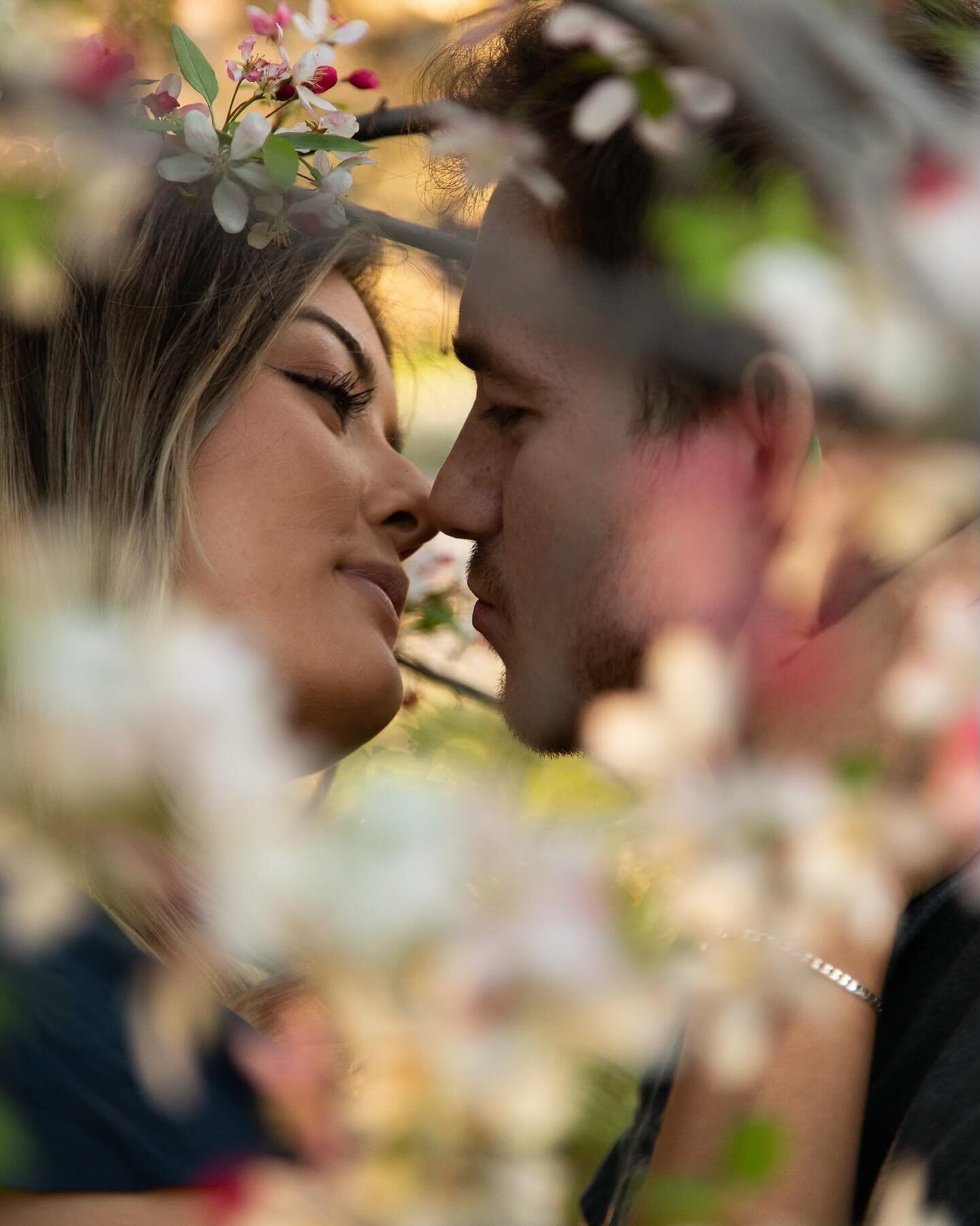 In honor of the first day of spring and my FAVORITE flowers blooming, I had to share photos of a shoot from last spring with the beautiful pink blossoms and such an amazing couple!!! 

#spring #couplesphotography #bayareacouplesphotographer #danville