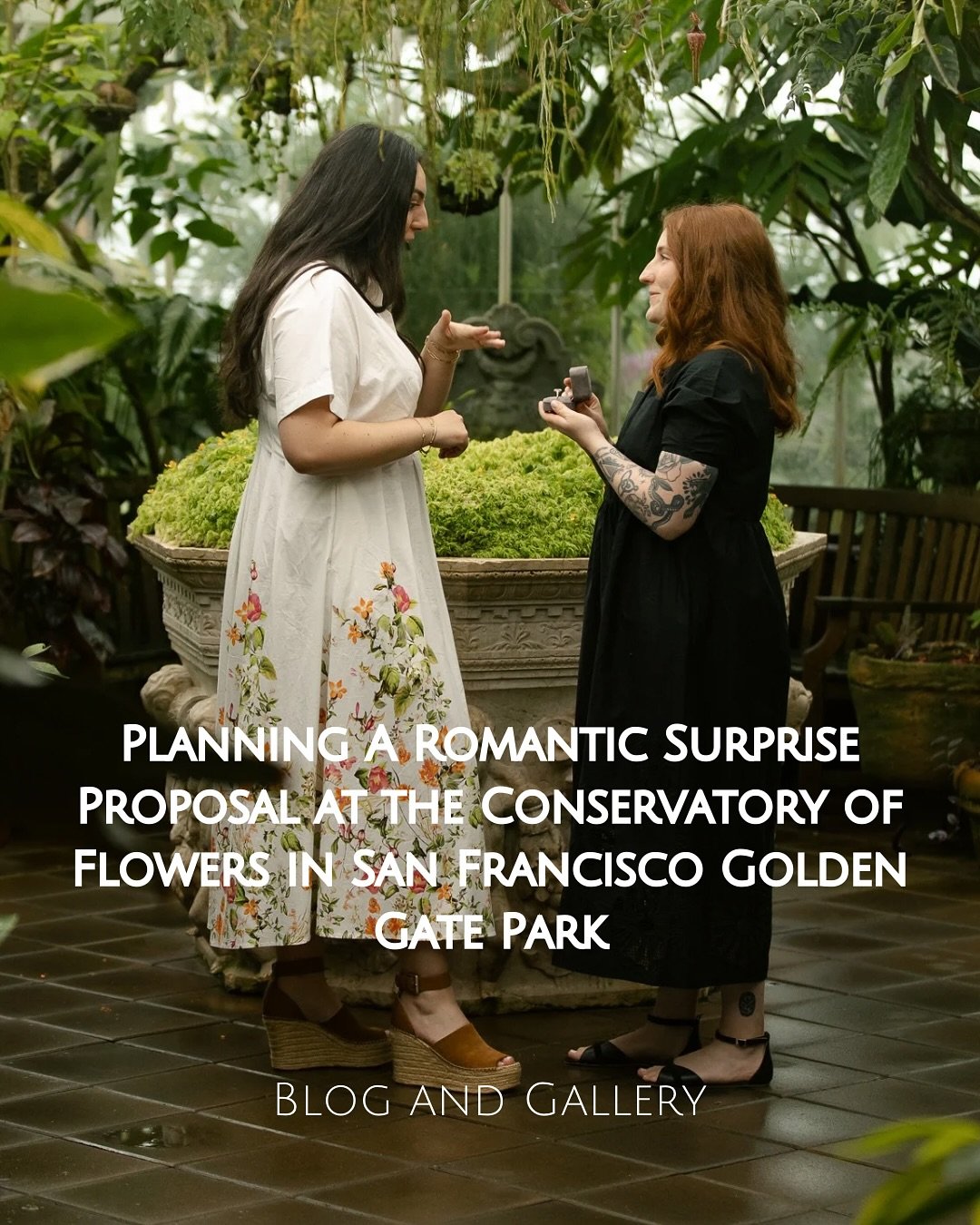 Photographing a proposal for a super sweet couple at the @conservatoryofflowers in SF was an absolute dream. 

Had so much fun exploring the conservatory inside and out (mega cinematic photography dreams) and also learned a lesson about humidity and 