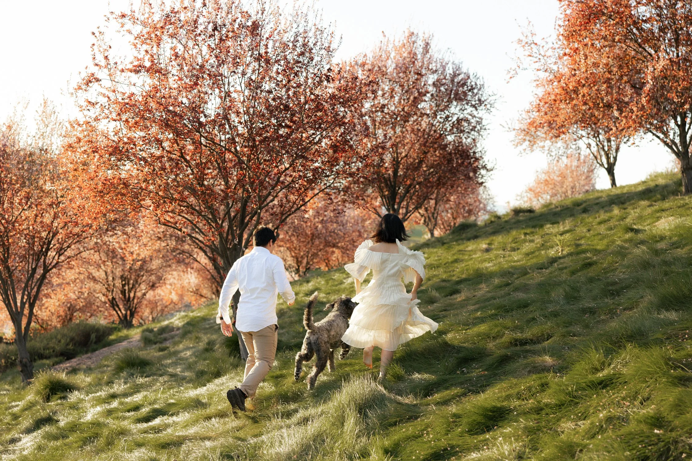Cute couples photoshoot with dog in the california bay area
