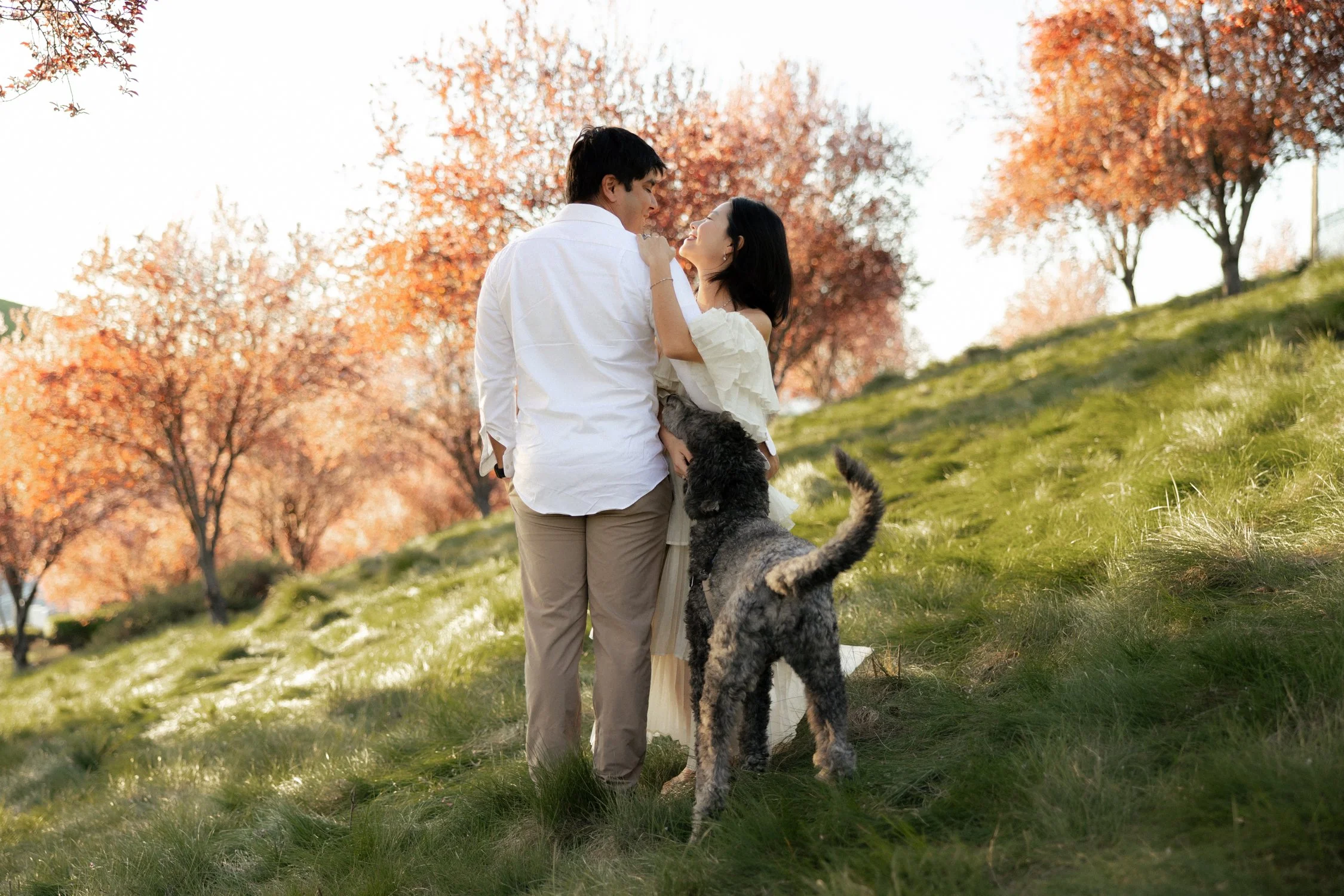 Morning sunlight San Ramon california cherry blossom photoshoot location