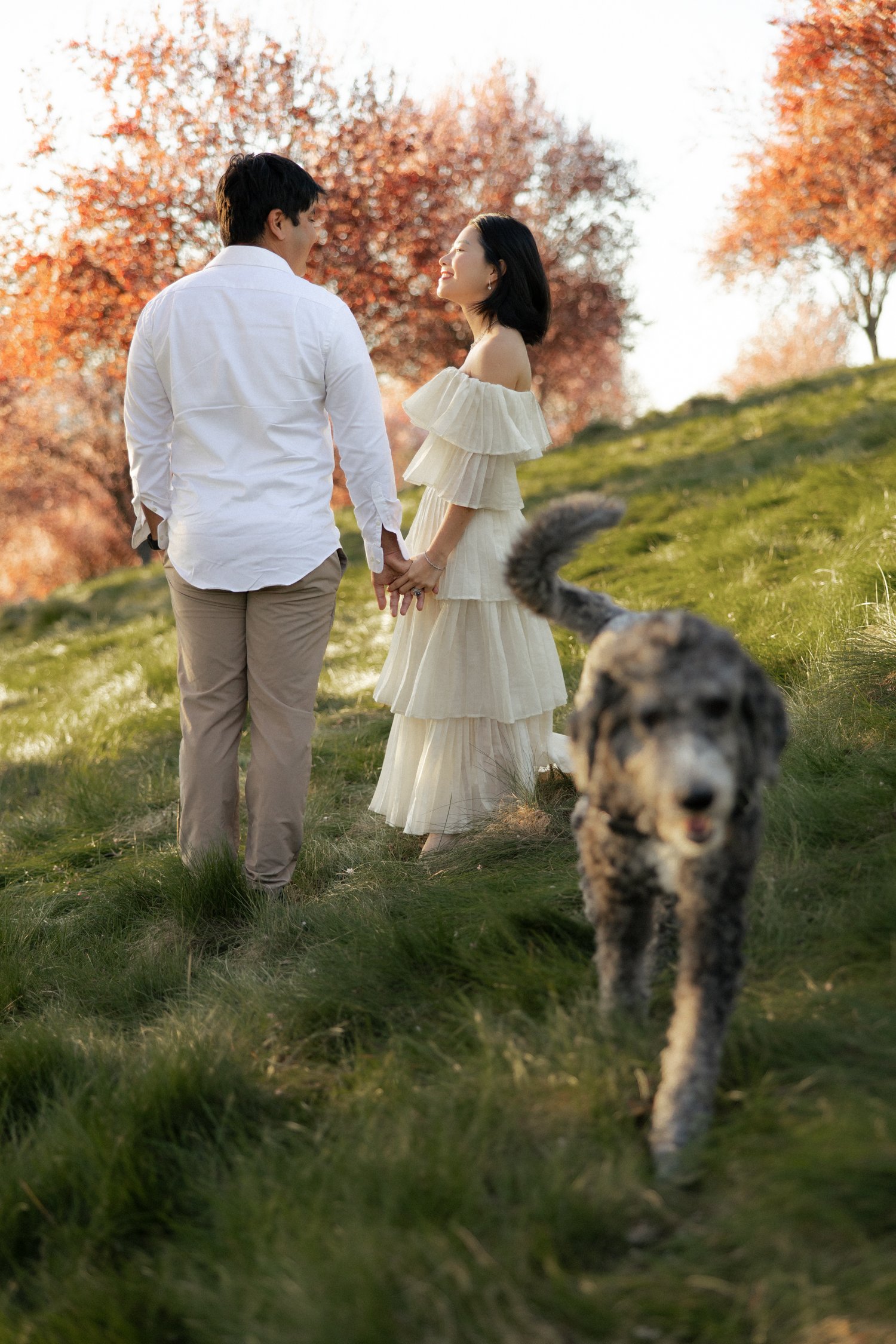 Cute couples photoshoot with dog in the california bay area
