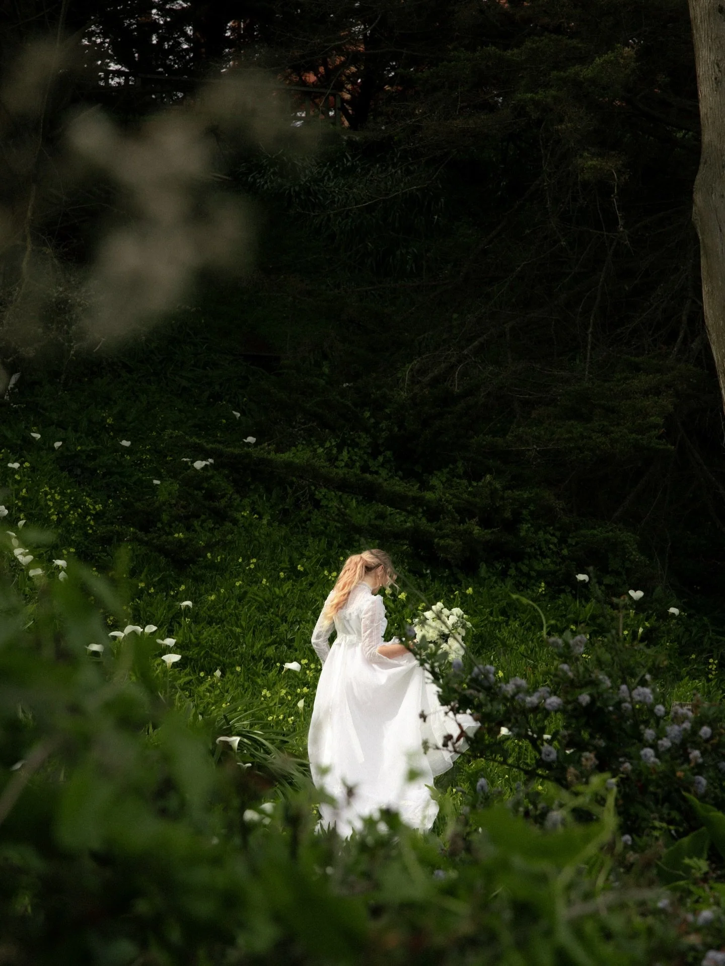 Wandering off into the wilderness like an ethereal princess? Or a bridal styled shoot right near the Golden Gate Bridge 👀

One may never know&hellip;

-Thank you to my models @averageloverbees 
-Dress: @playdatebridal 
-Host of the day: @meghanmaryp