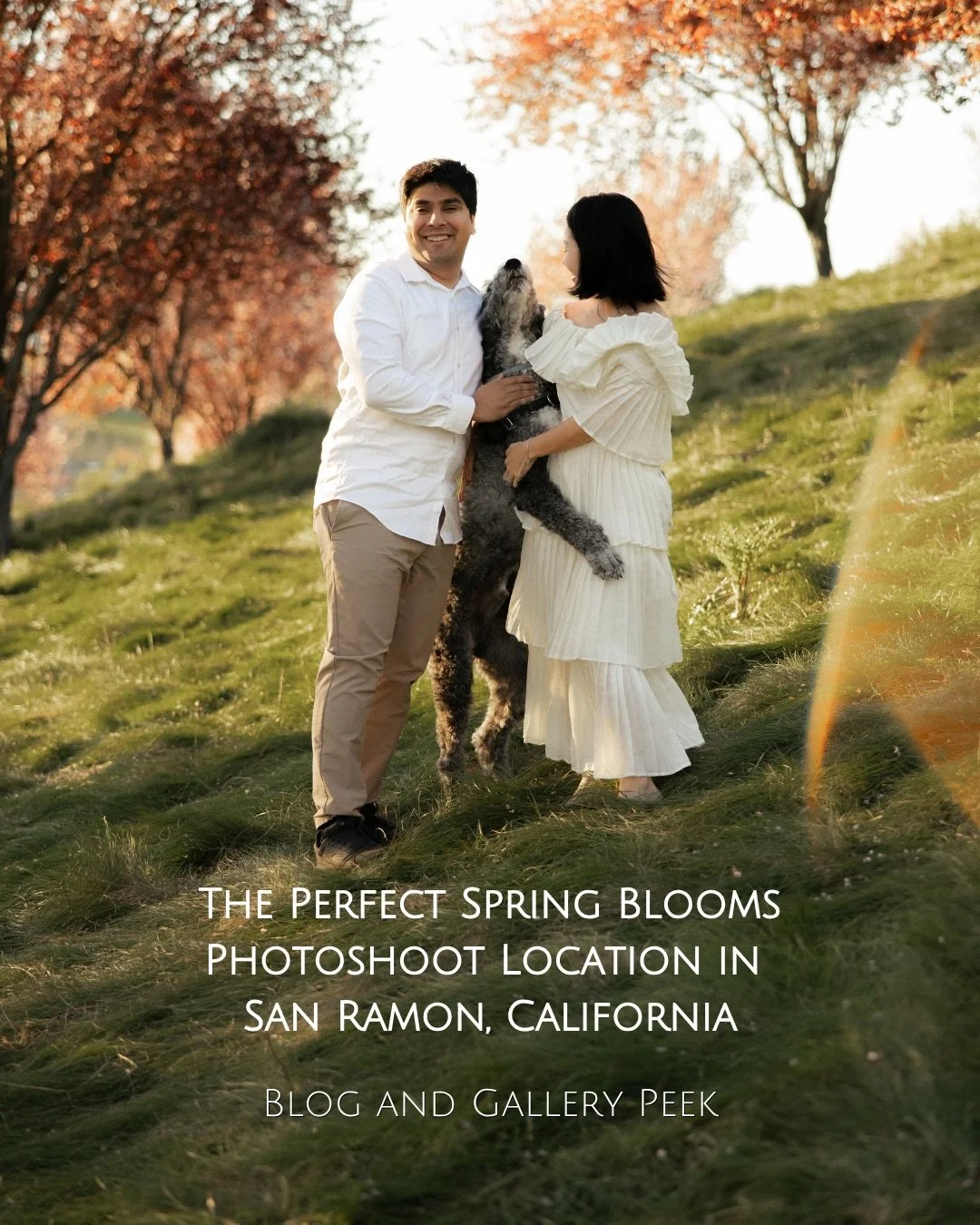 7am sessions are worth it when the blossoms look like this and you can avoid a bunch of crowds 🌸

This San Ramon couples session had morning light streaming through plum + cherry blossoms across two spots, and the cutest pup bringing a little chaos 