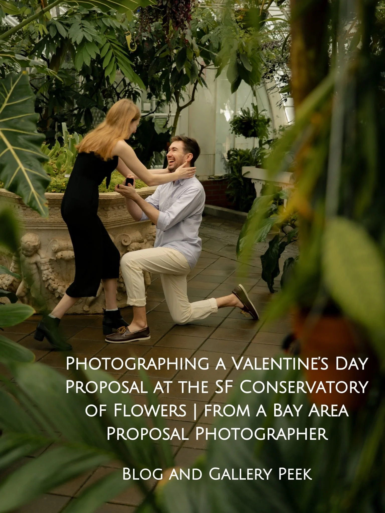 I recently made a reel of the behind the scenes moment capturing a proposal on Valentine&rsquo;s Day at the SF Conservatory of Flowers and it kind of blew up (according to my standards lol, and probably because you could hear my nervous heart beating