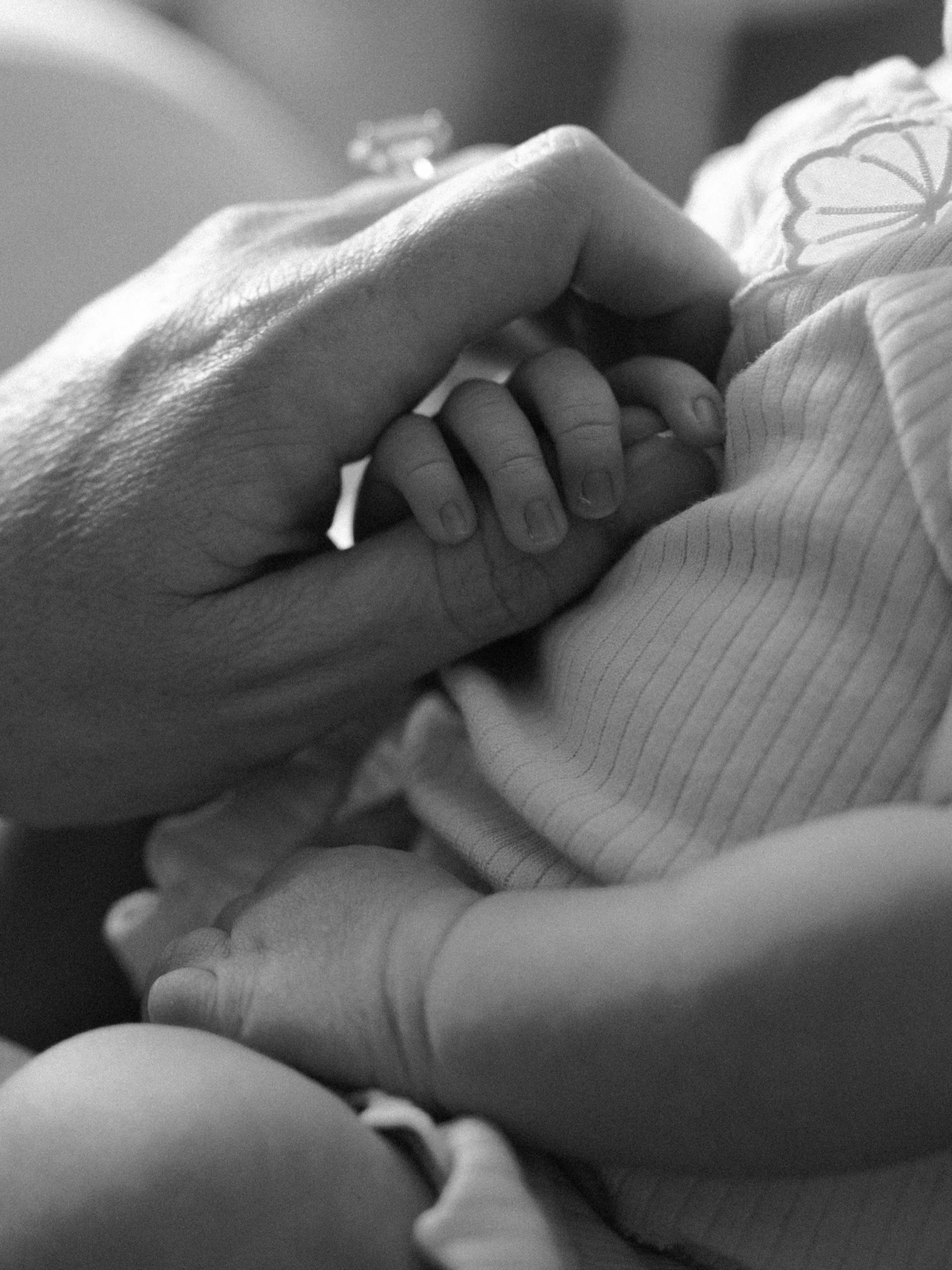 A sweet indoor newborn session❤️ 

Please note: whenever you hire me to do newborn photos, don&rsquo;t hesitate to ask for privacy if you don&rsquo;t want photos shared, either at all or photos with your newborn&rsquo;s face. 

______________
Califor