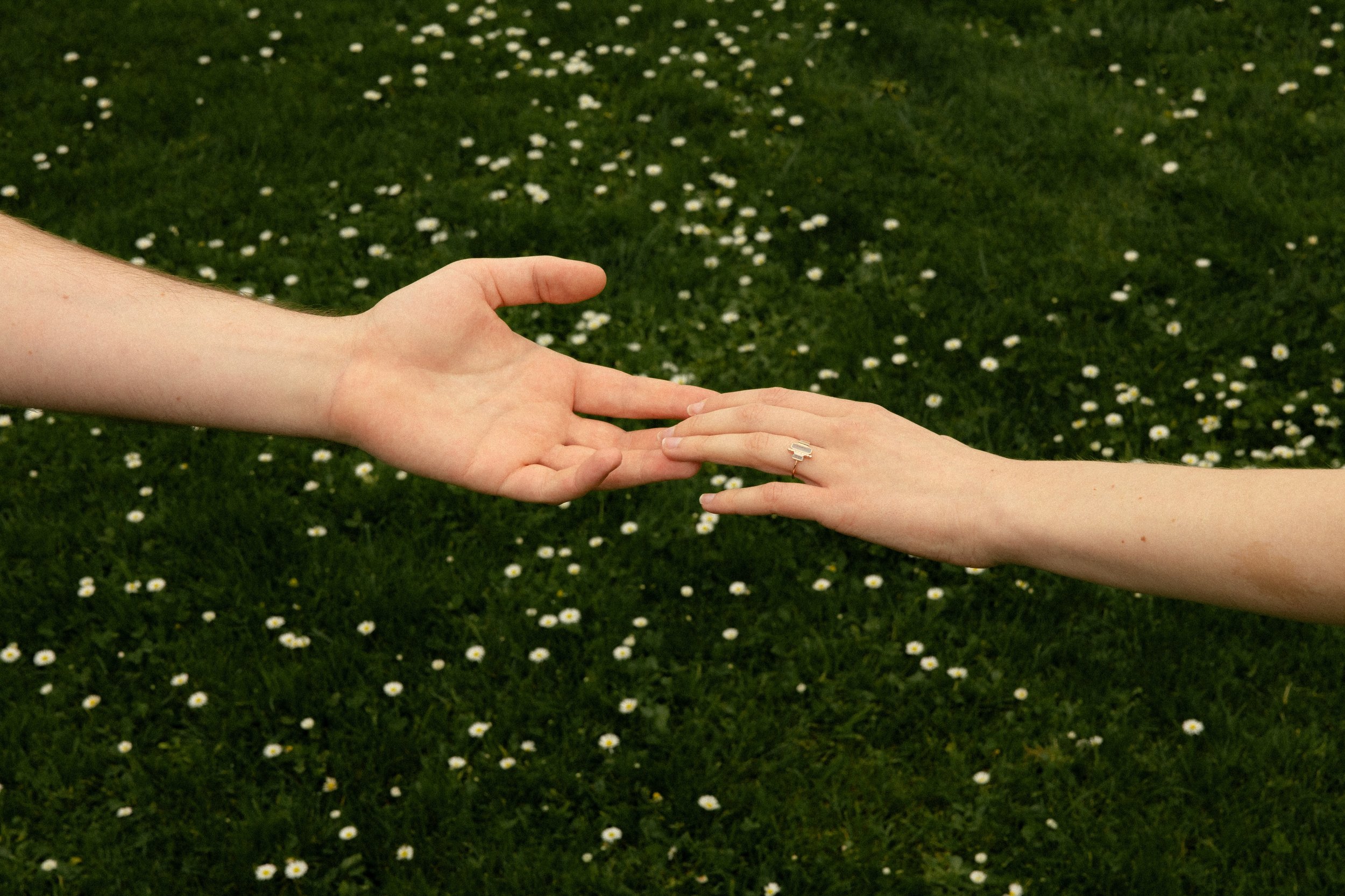 Conservatory of Flowers proposal photography