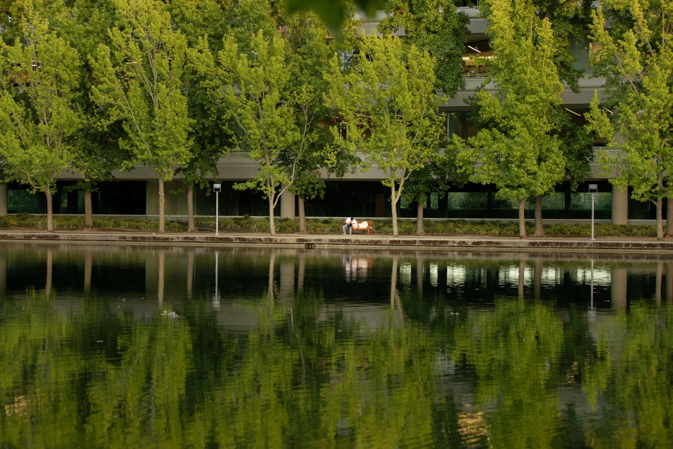 san ramon engagement photos