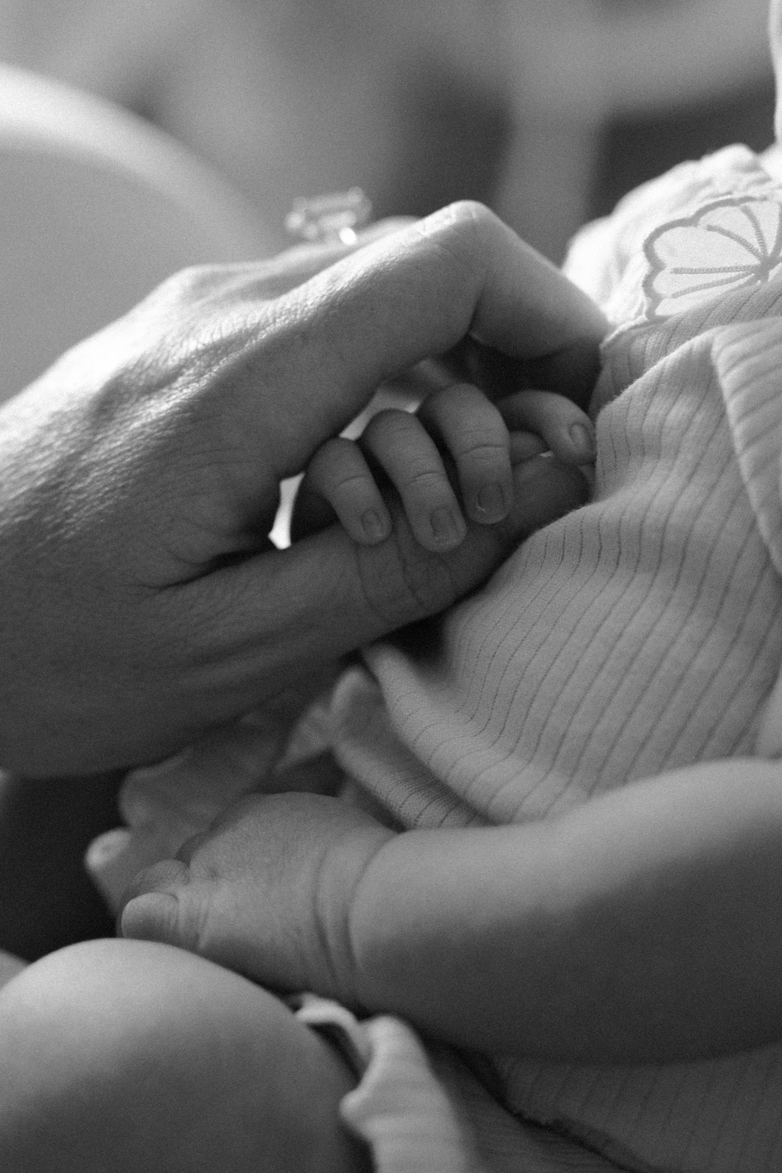 black and white newborn photo palo alto california