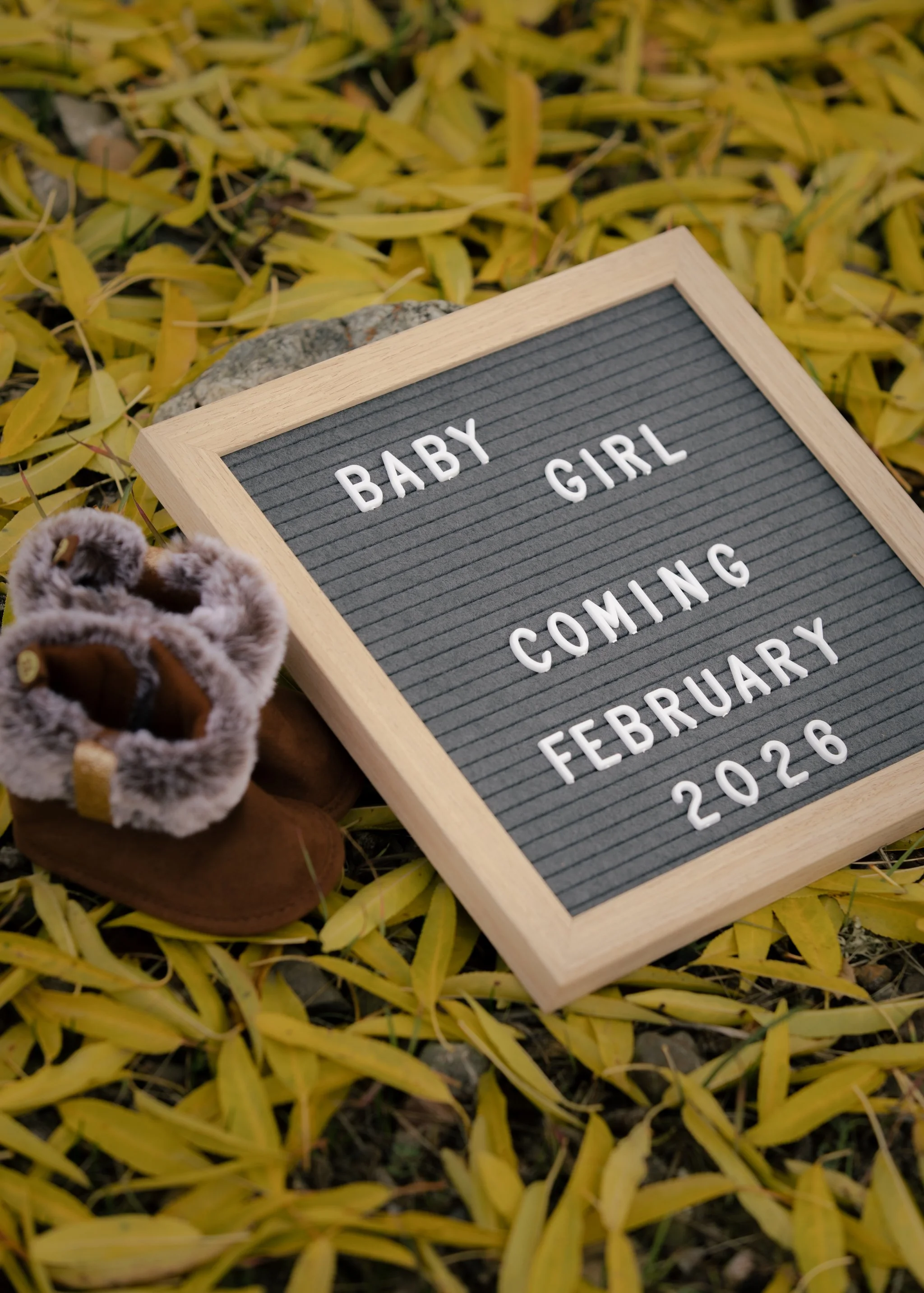 Baby girl maternity announcement photo ideas