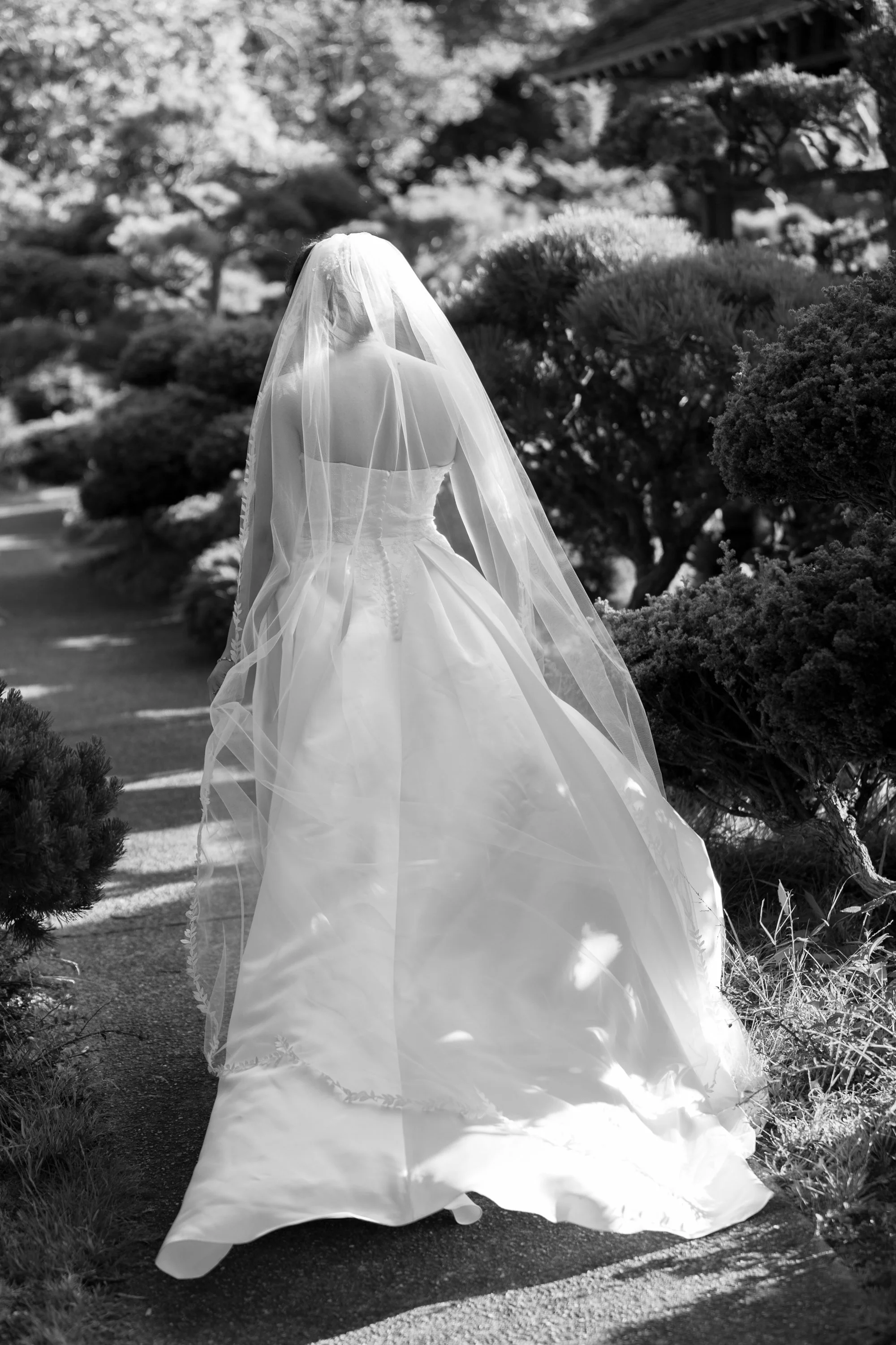 Hayward Japanese Gardens Bridal Portraits black and white.jpg
