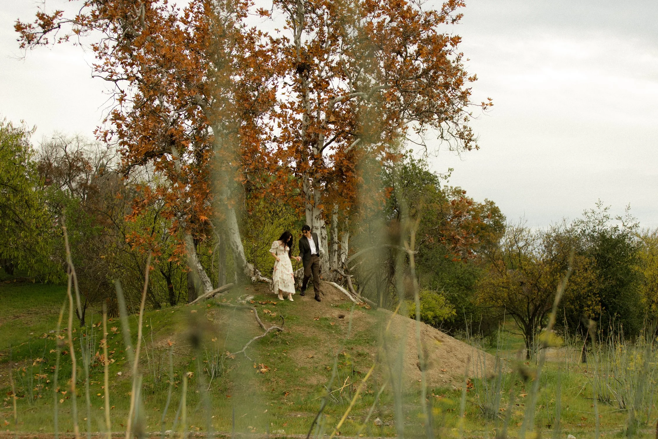 romantic northern california bay area engagement and couples photographer in a park livermore california.jpg