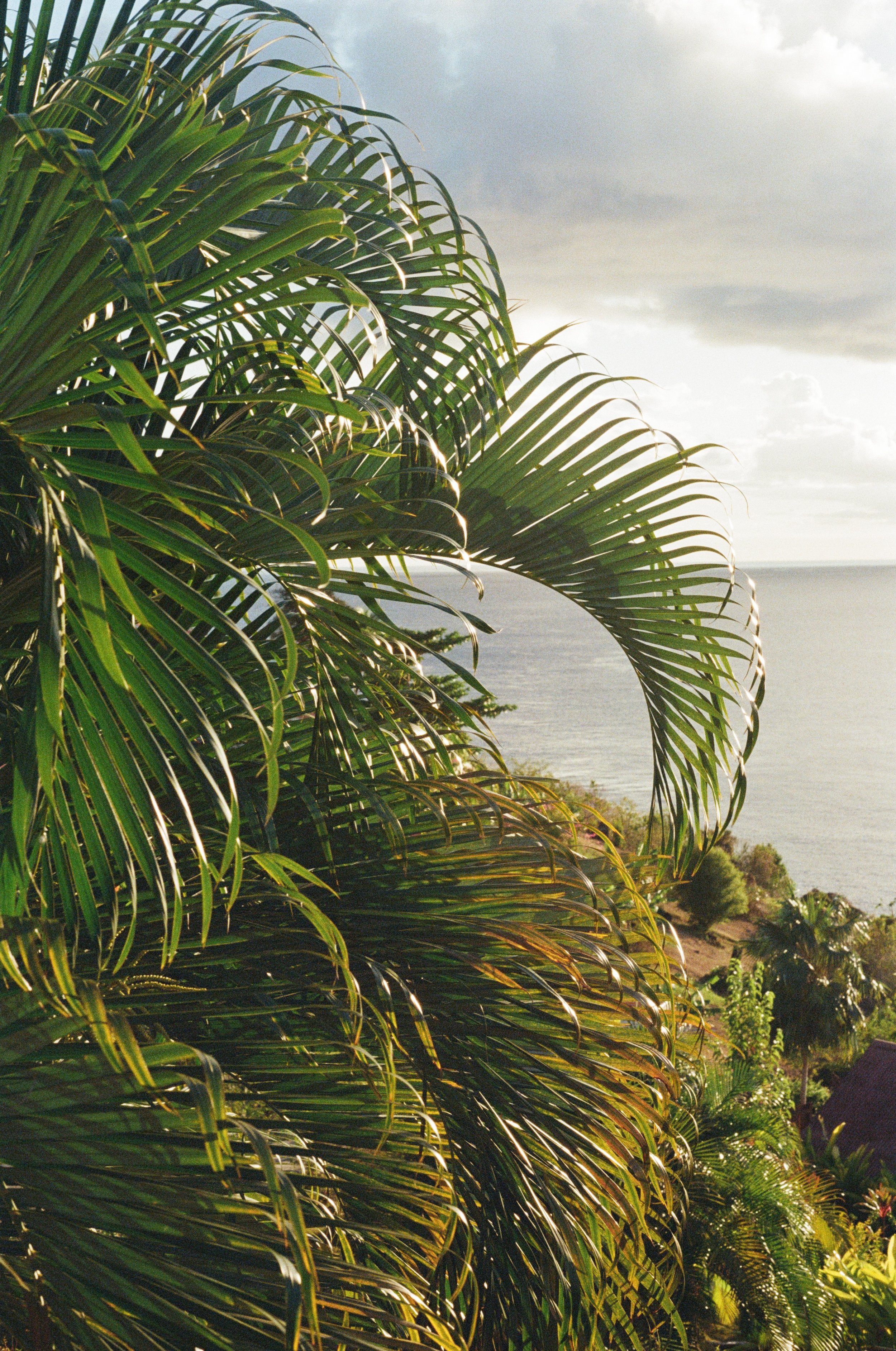 Ti Kaye Resort in Saint Lucia
