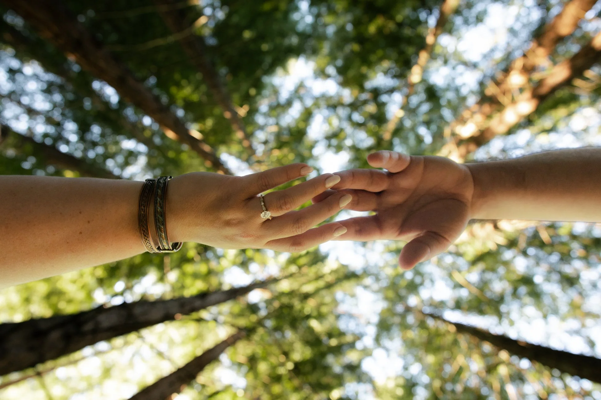 Reinhardt Redwood Regional Park engagement photos
