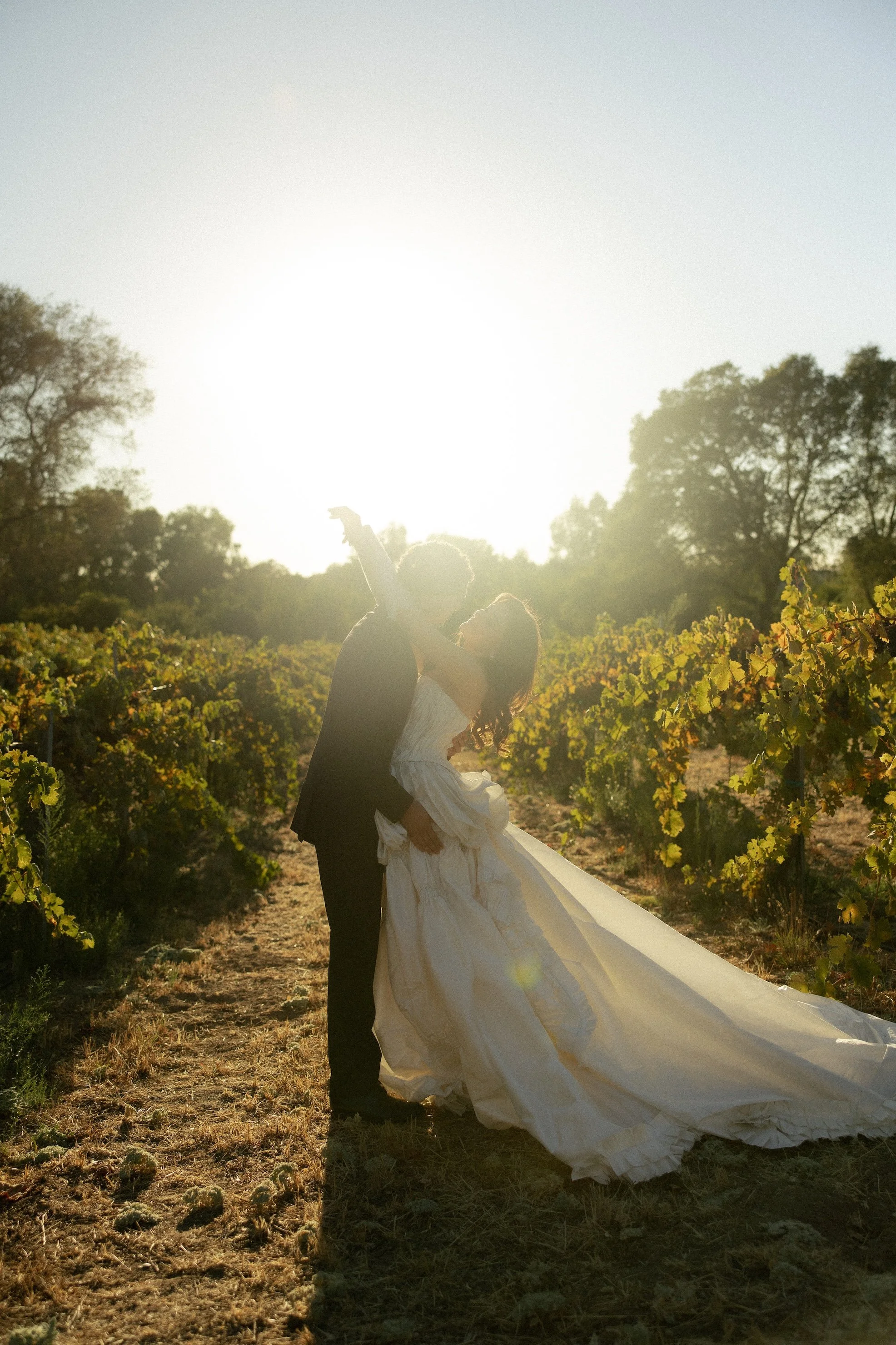 Sacramento California wedding photographer vineyard wedding photos.jpg