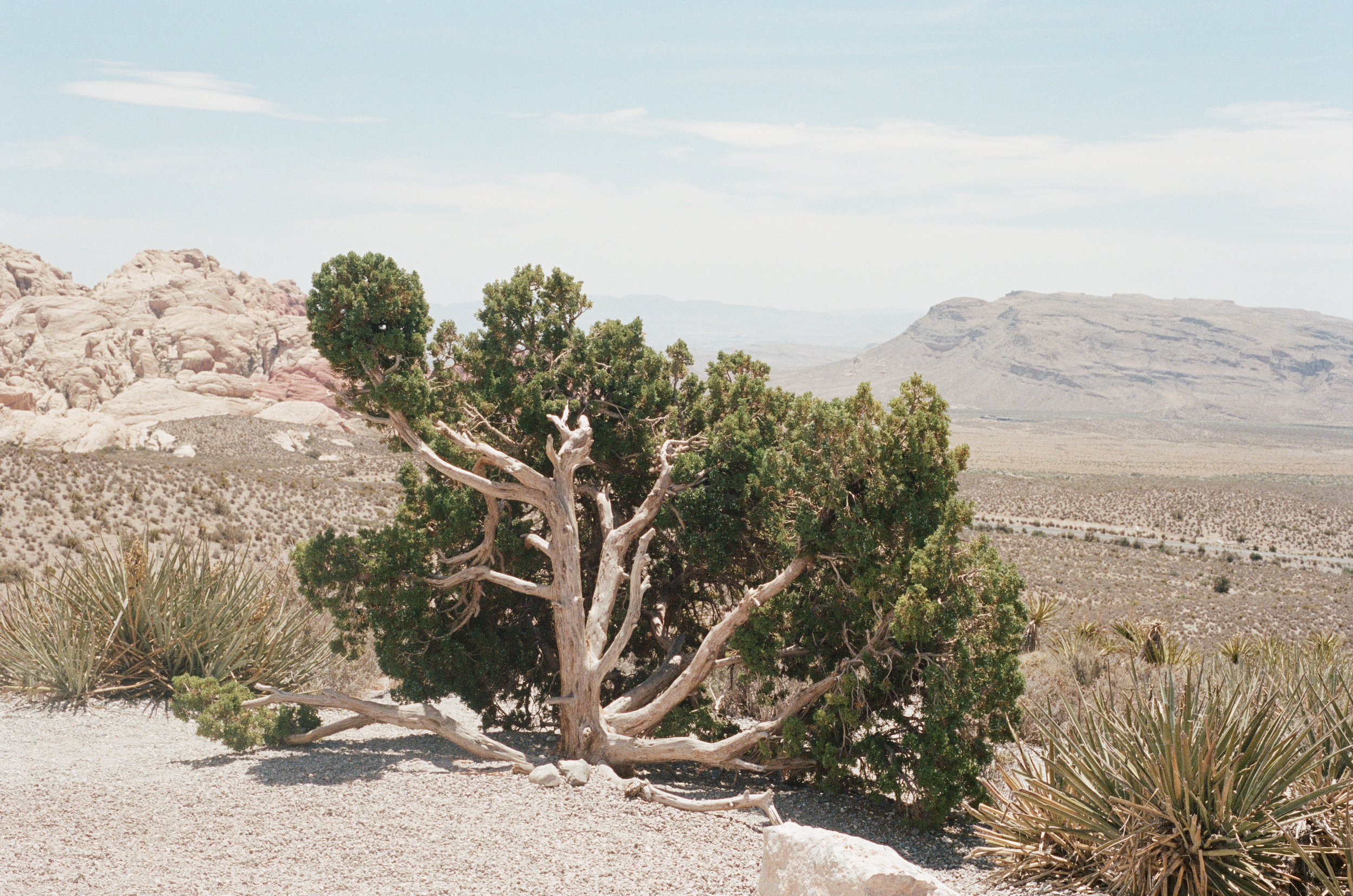 Red Rock Canyon National Conservation Area, Nevada on film