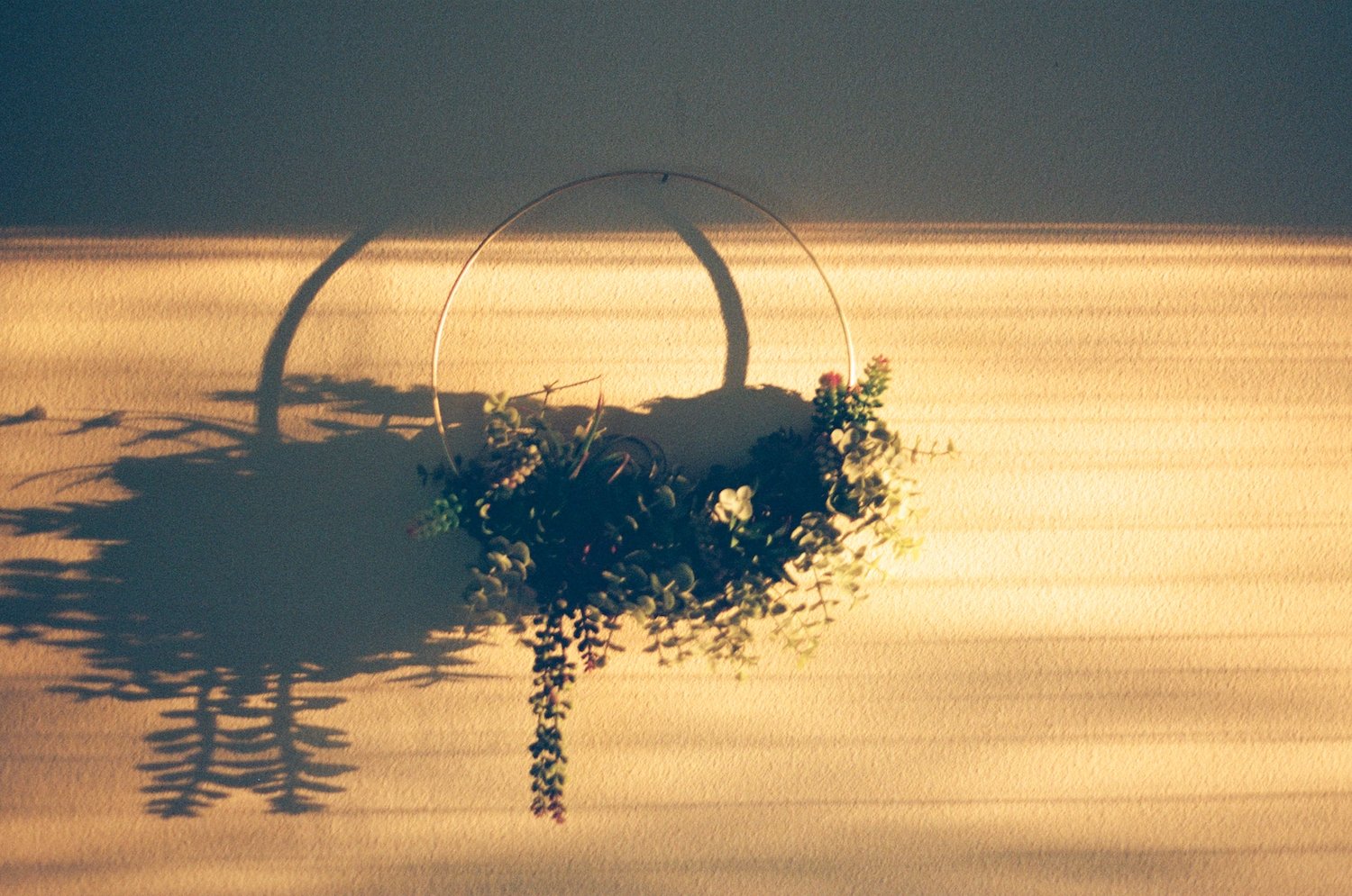 exploring light beams on film