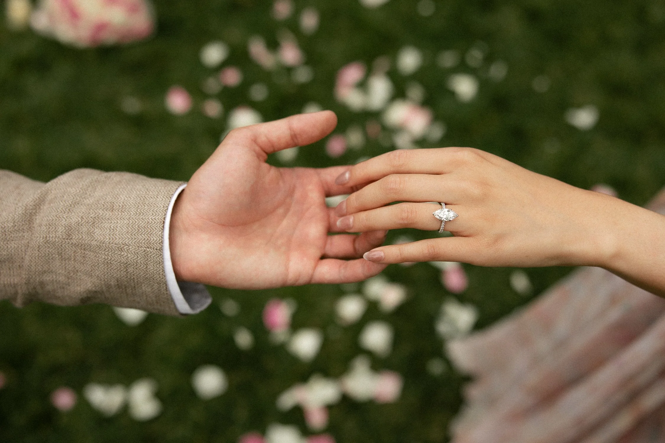 Golden Gate Park proposal photographer