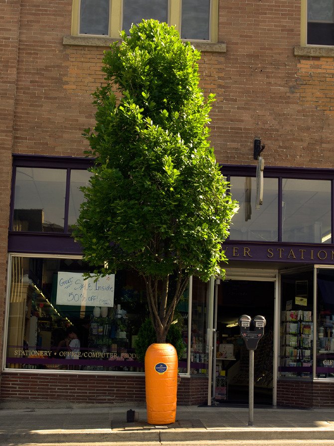 Gorge_CarrotWrap_1.jpg