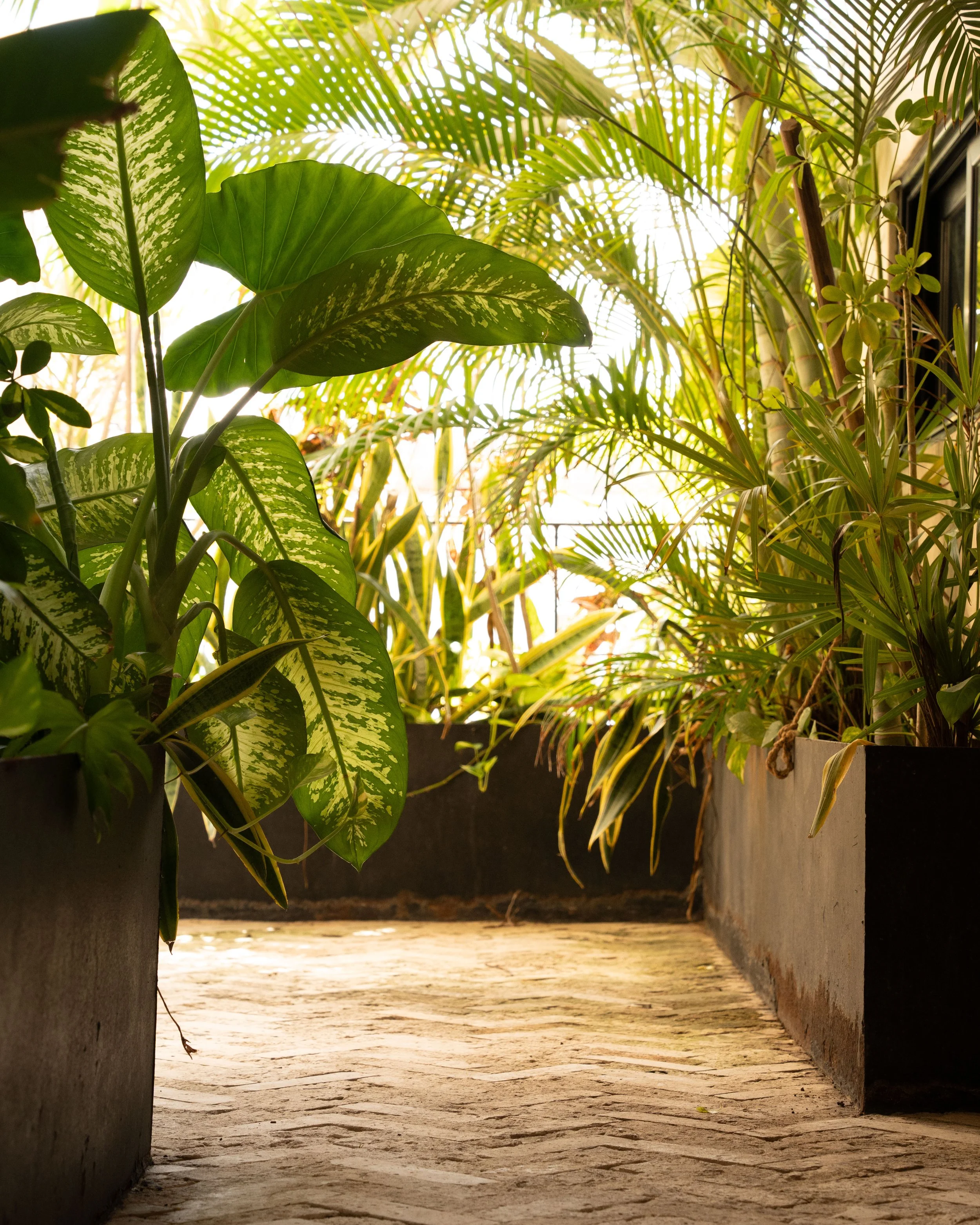Nature-friendly Esmeralda Tulum