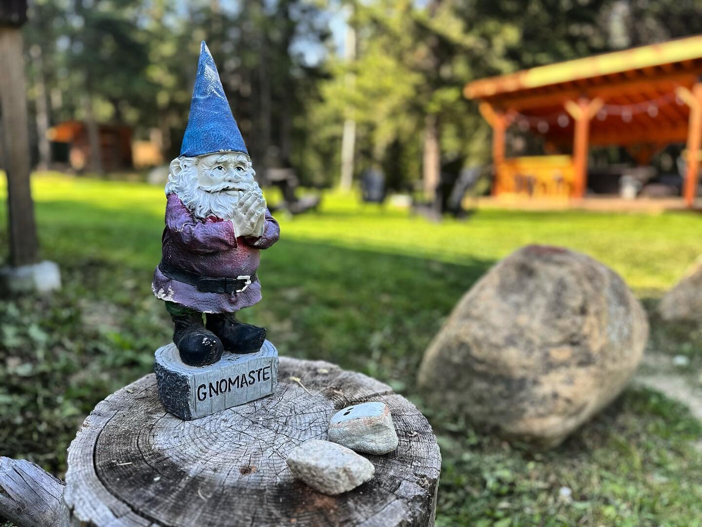 Gnomaste says the lawn is firing and the vibe is chill, get up here. 

#bralorneadventurelodge