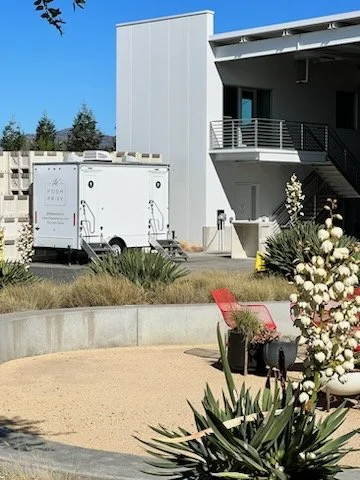 Ashes.Diamonds  L2 - Copy.jpeg