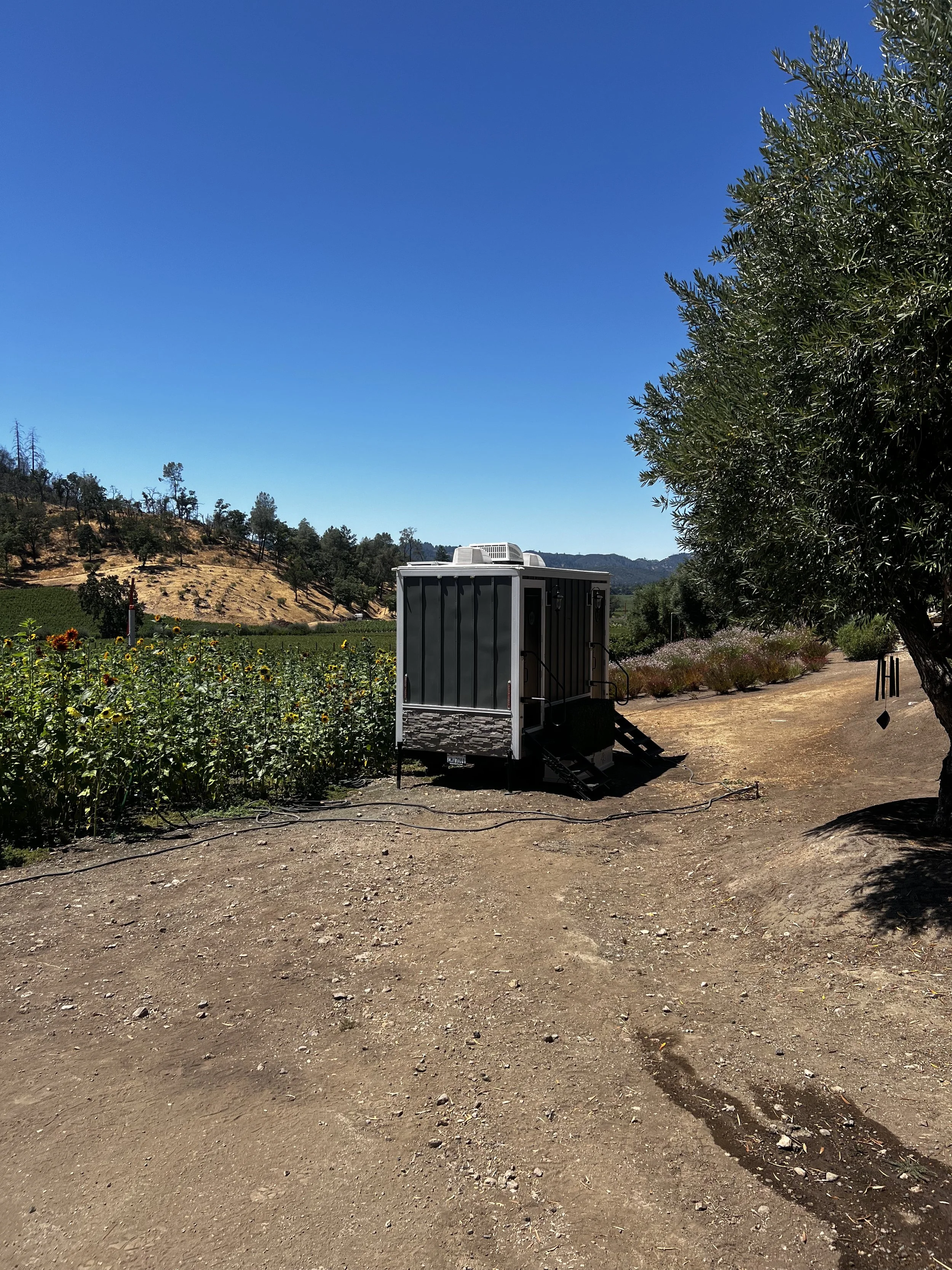 Hundred Acre - P2 at bottom vineyard location.jpg