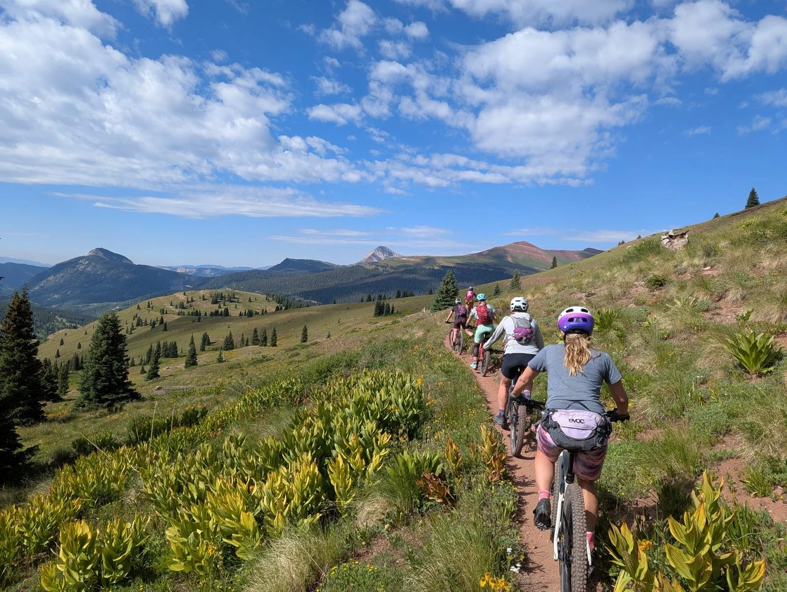 WhatsApp Image 2025-12-05 at 19.29.14.jpeg