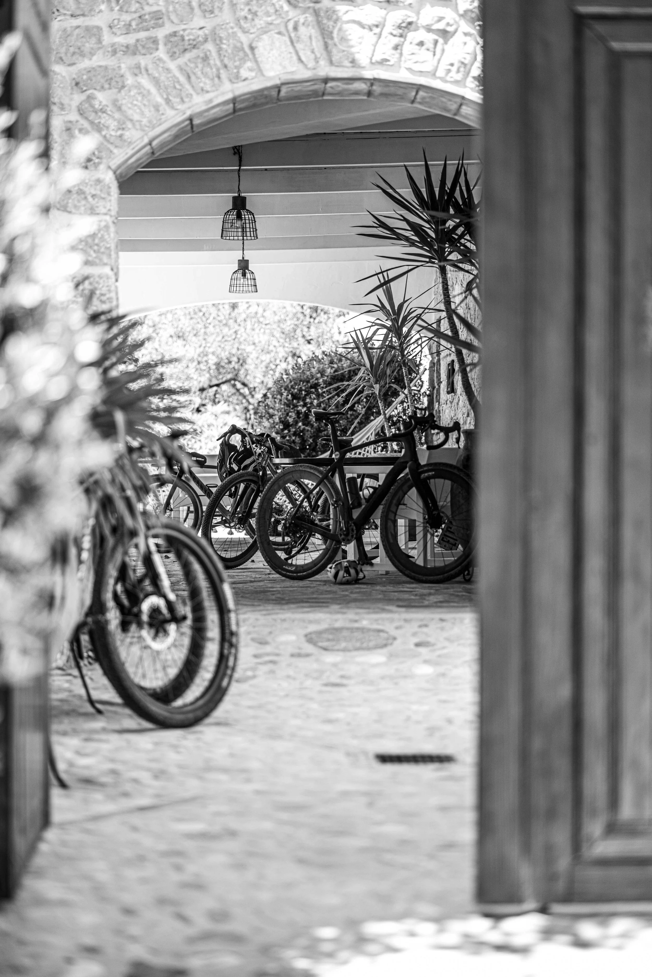 Black and white photo of bicycles parked in a covered outdoor area with plants and hanging light fixtures, viewed through an open door.