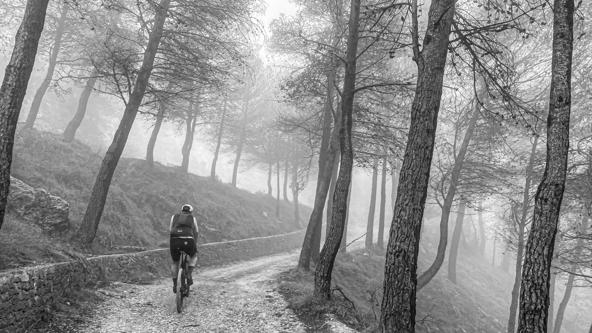 A person riding a bicycle on a gravel dirt trail through a forest with tall trees and fog.